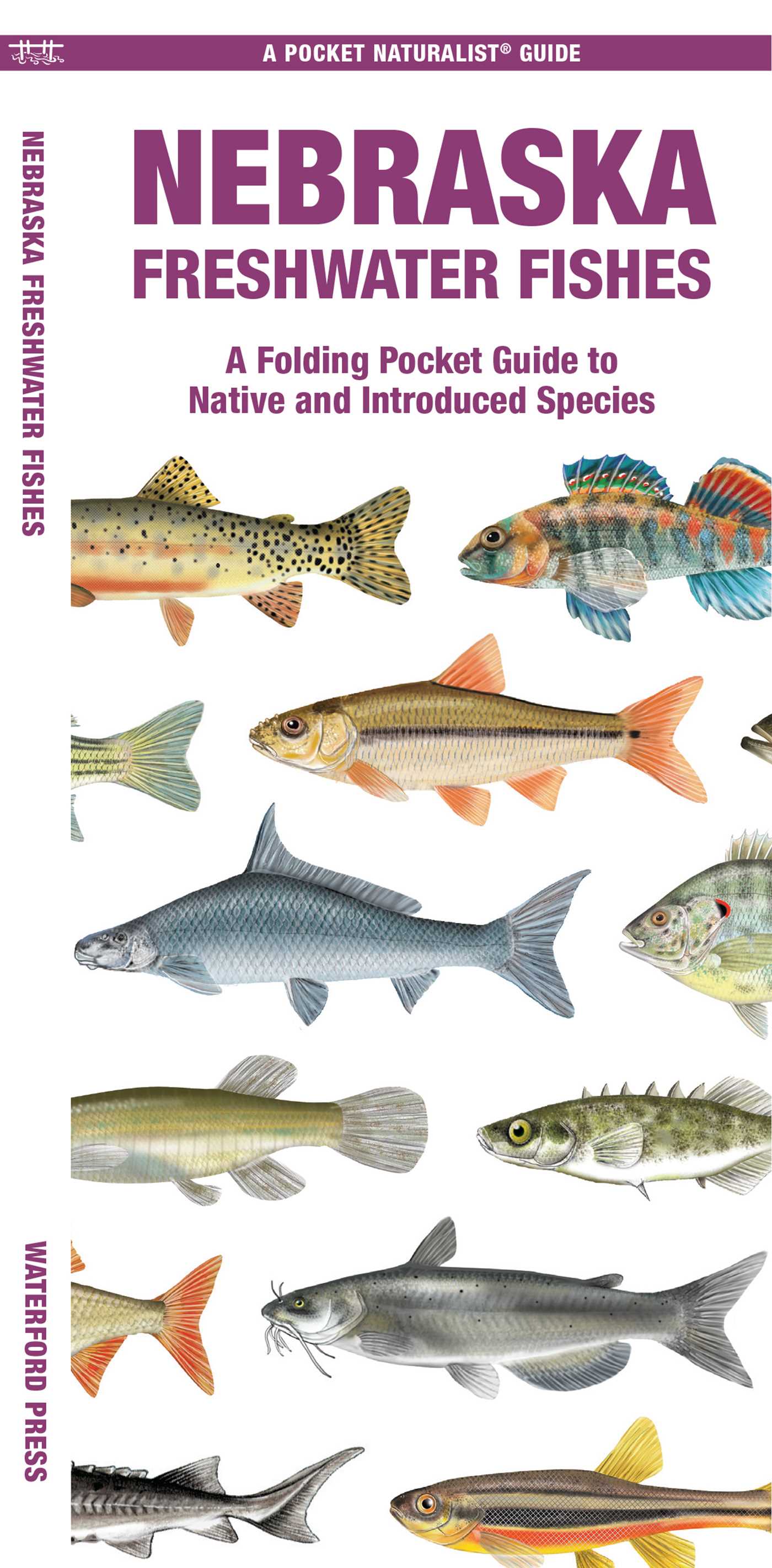 Nebraska Freshwater Fishes