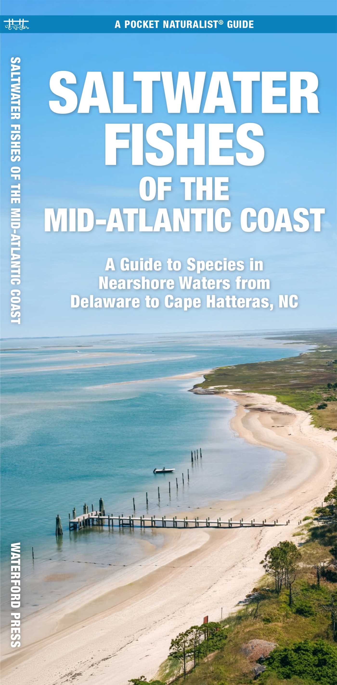 Saltwater Fishes of North Carolina & the Mid-Atlantic