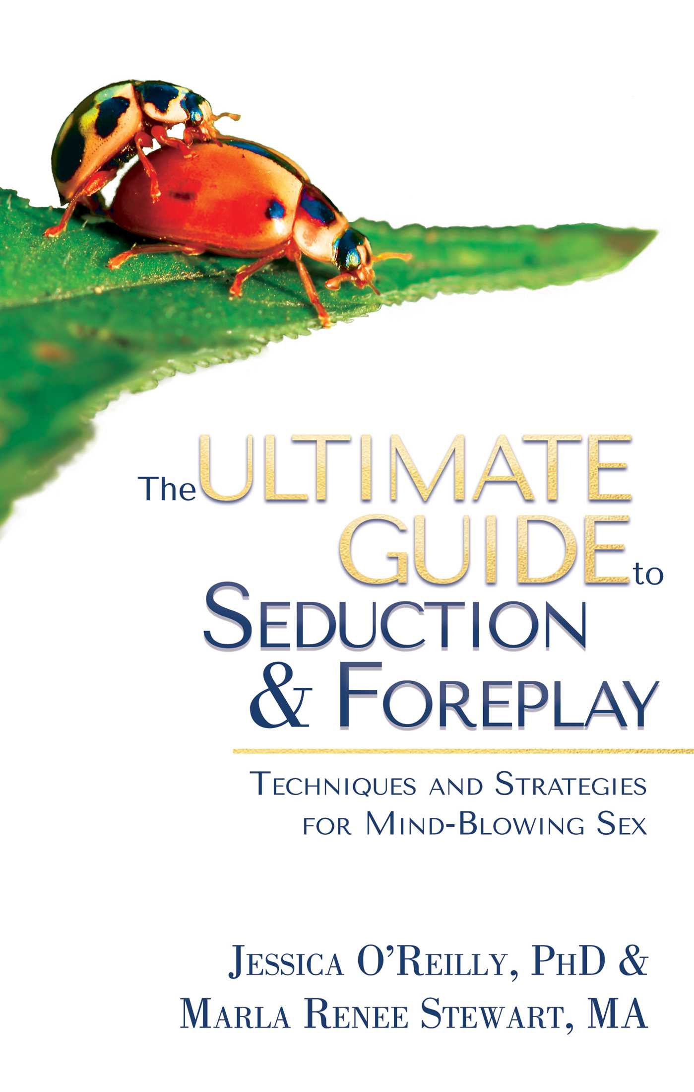 Ultimate Guide to Seduction &amp; Foreplay: Techniques and Strategies for Mind-Blowing Sex