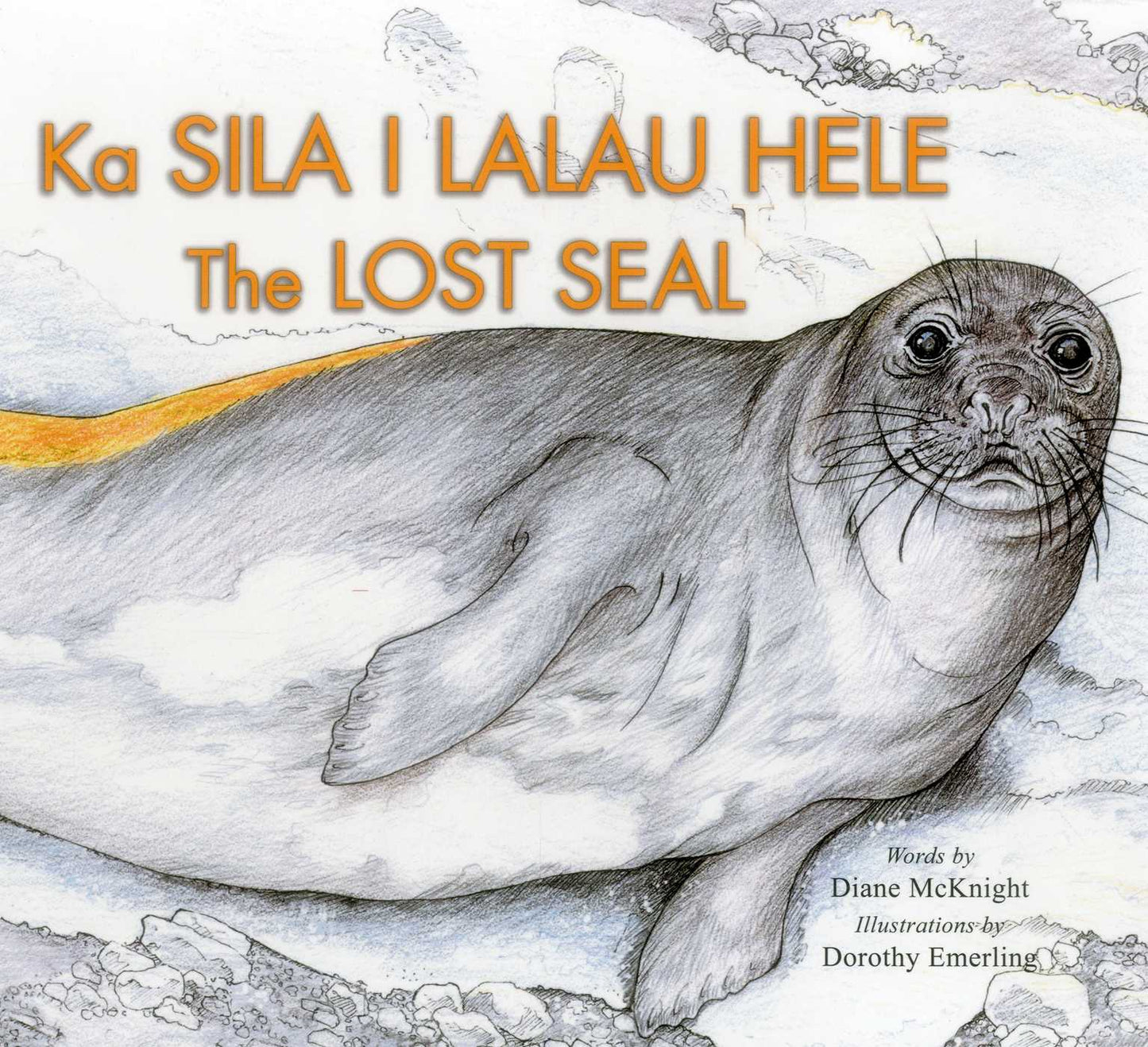 Lost Seal