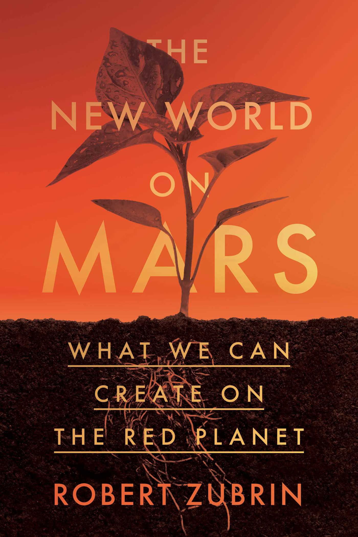 New World on Mars: What We Can Create on the Red Planet