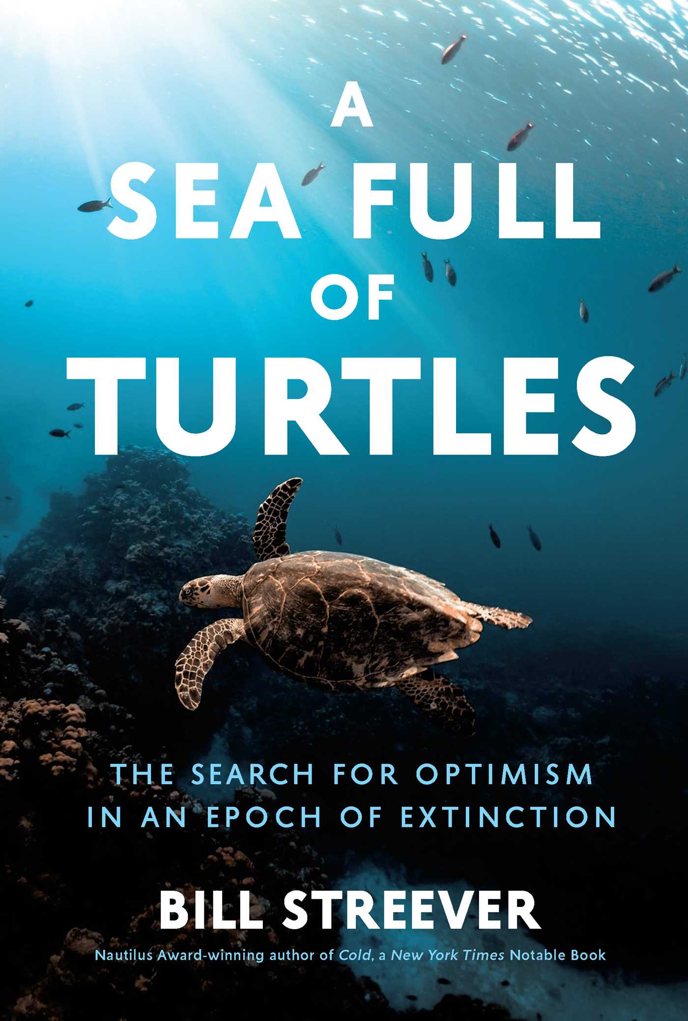 Sea Full of Turtles: The Search for Optimism in an Epoch of Extinction