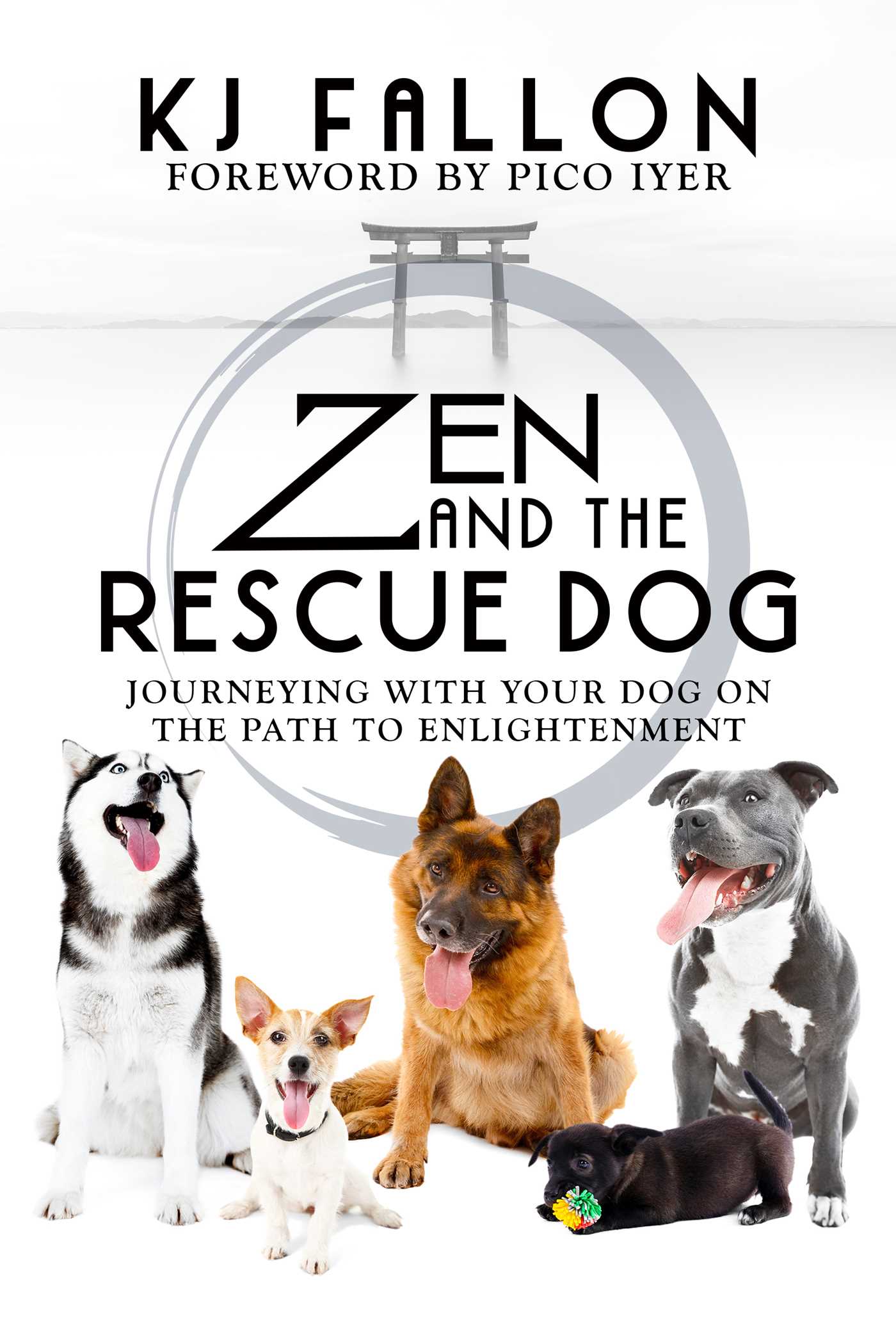 Zen and the Rescue Dog