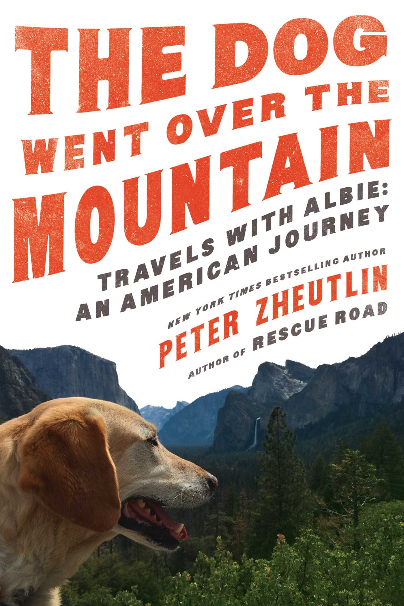Dog Went Over the Mountain: Travels With Albie: An American Journey