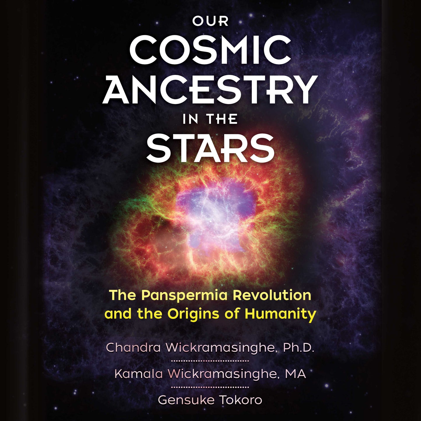 Our Cosmic Ancestry in the Stars