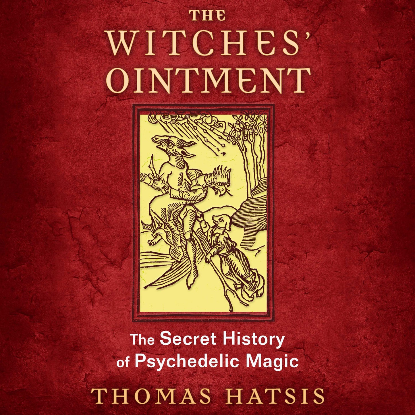 Witches' Ointment: The Secret History of Psychedelic Magic