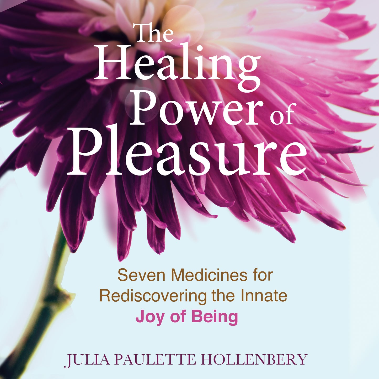 Healing Power of Pleasure: Seven Medicines for Rediscovering the Innate Joy of Being