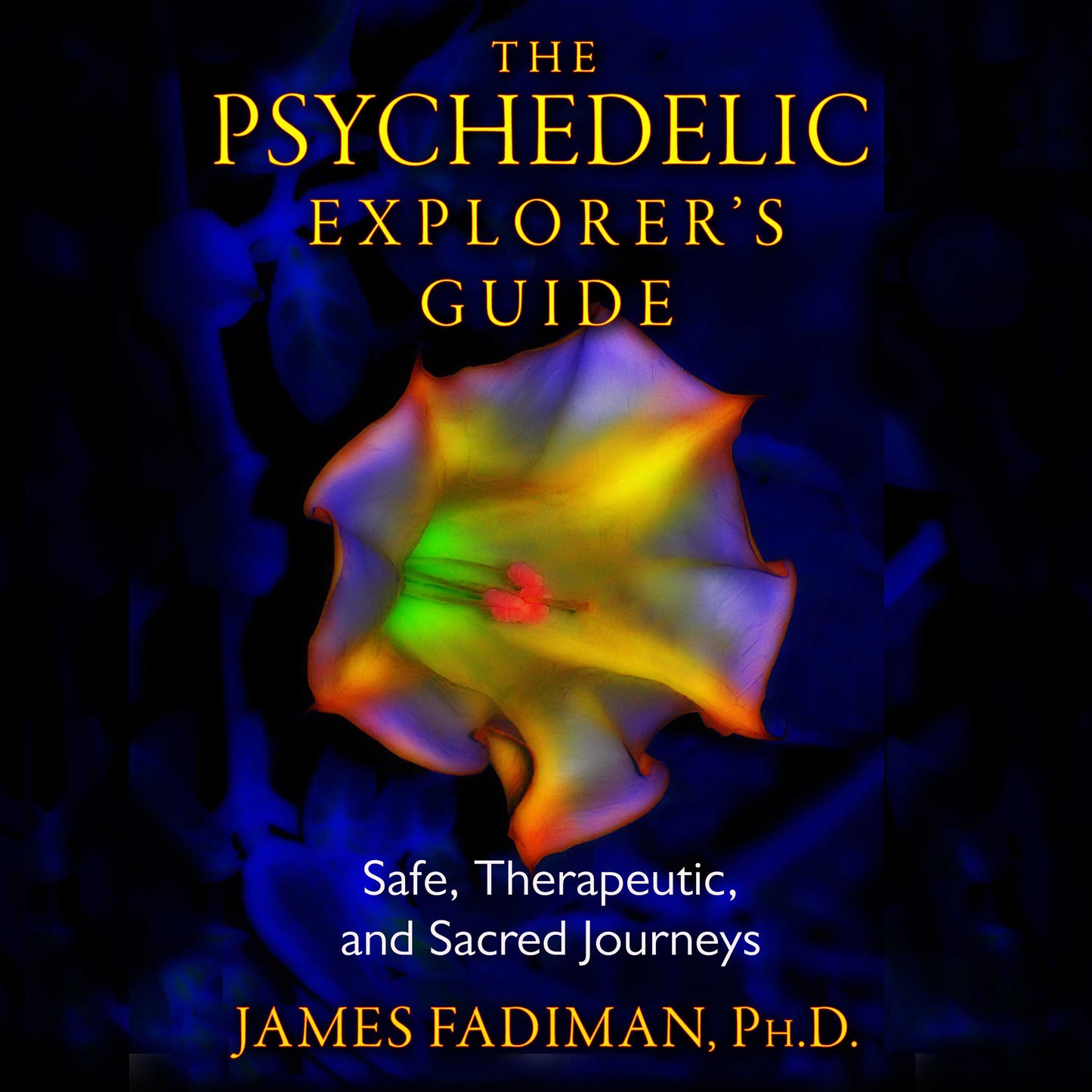 Psychedelic Explorer's Guide: Safe, Therapeutic, and Sacred Journeys