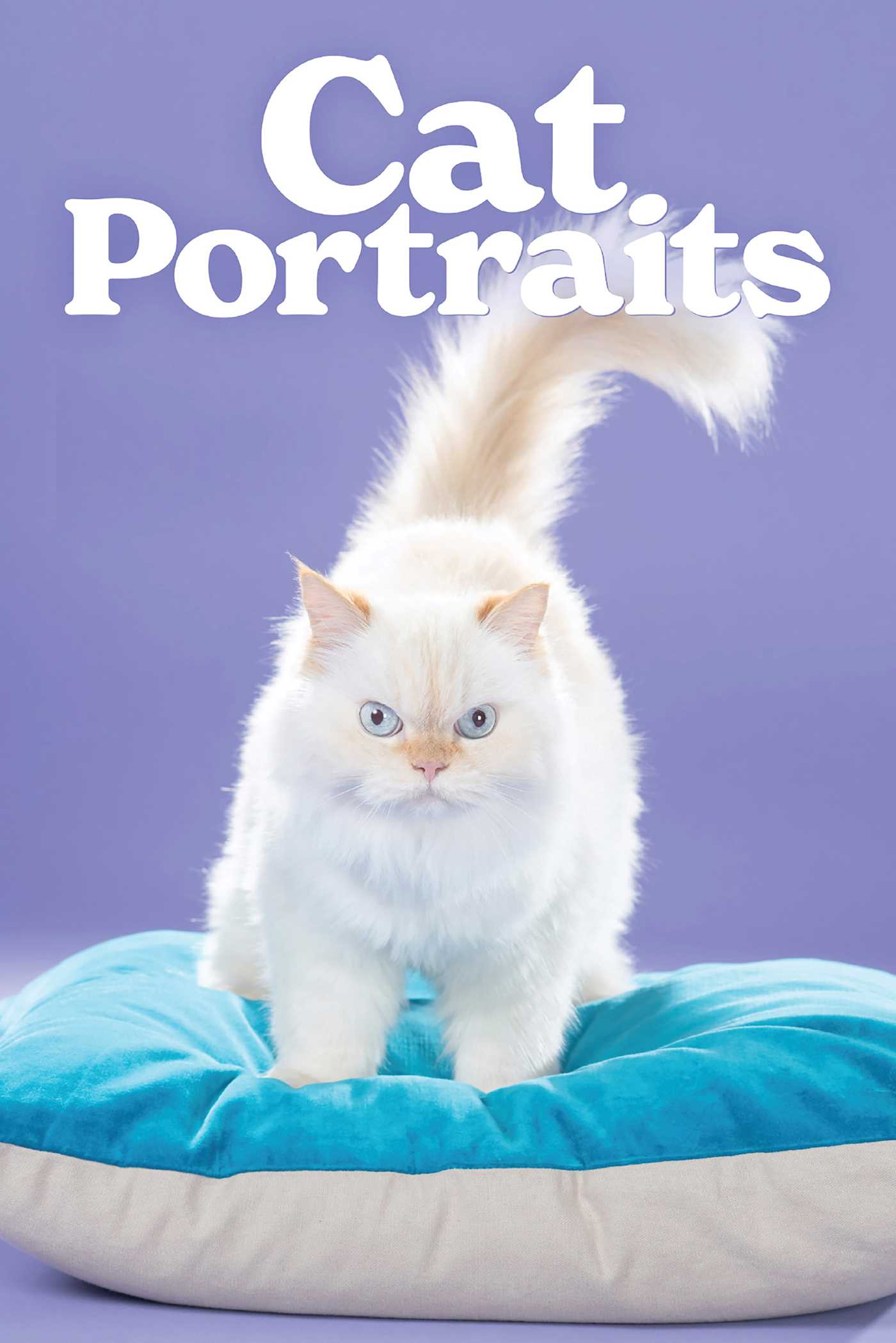 Cat Portraits