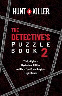 Hunt A Killer: The Detective's Puzzle Book 2