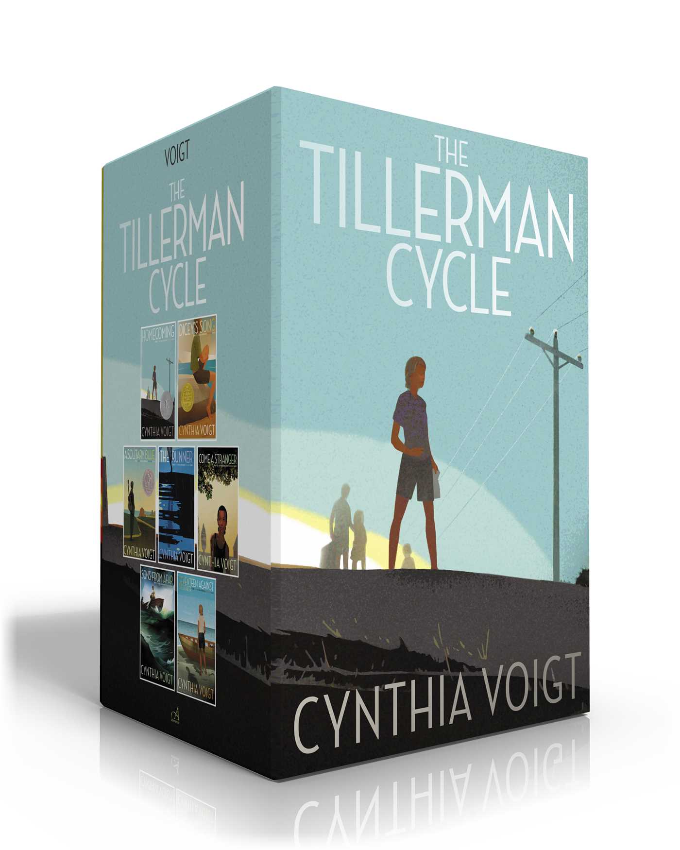 Tillerman Cycle (Boxed Set): Homecoming; Dicey's Song; A Solitary Blue; The Runner; Come a Stranger; Sons from Afar; Seventeen Against the Dealer