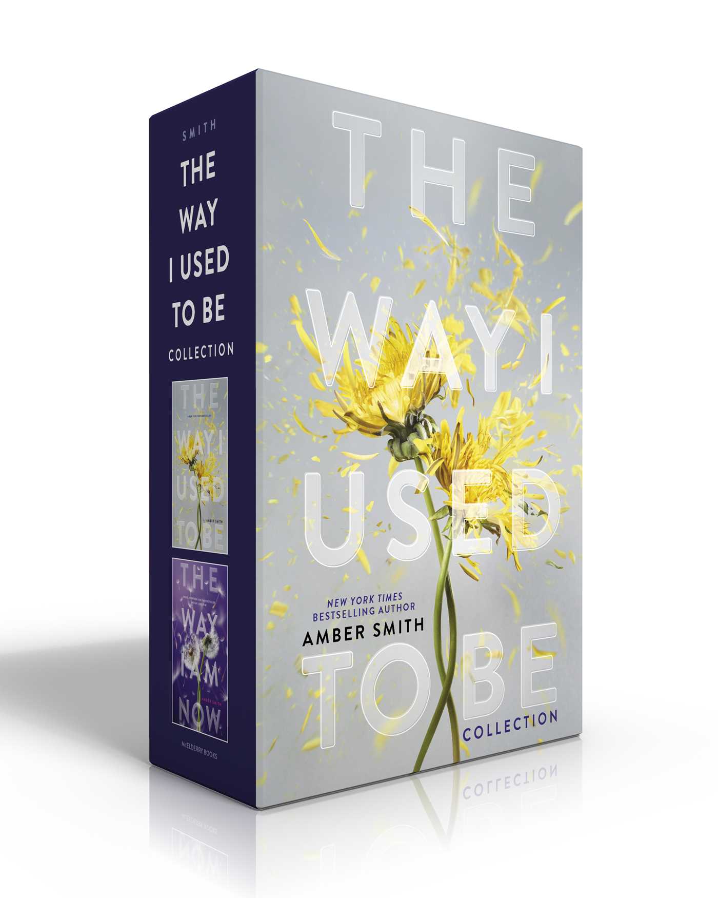 Way I Used to Be Collection (Boxed Set): The Way I Used to Be; The Way I Am Now