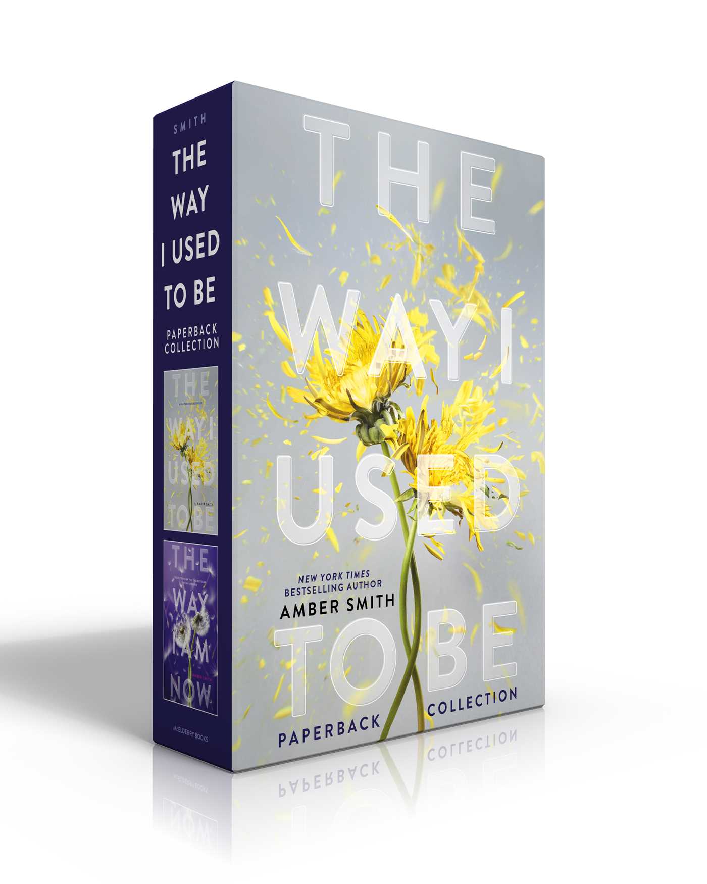 Way I Used to Be Paperback Collection (Boxed Set): The Way I Used to Be; The Way I Am Now