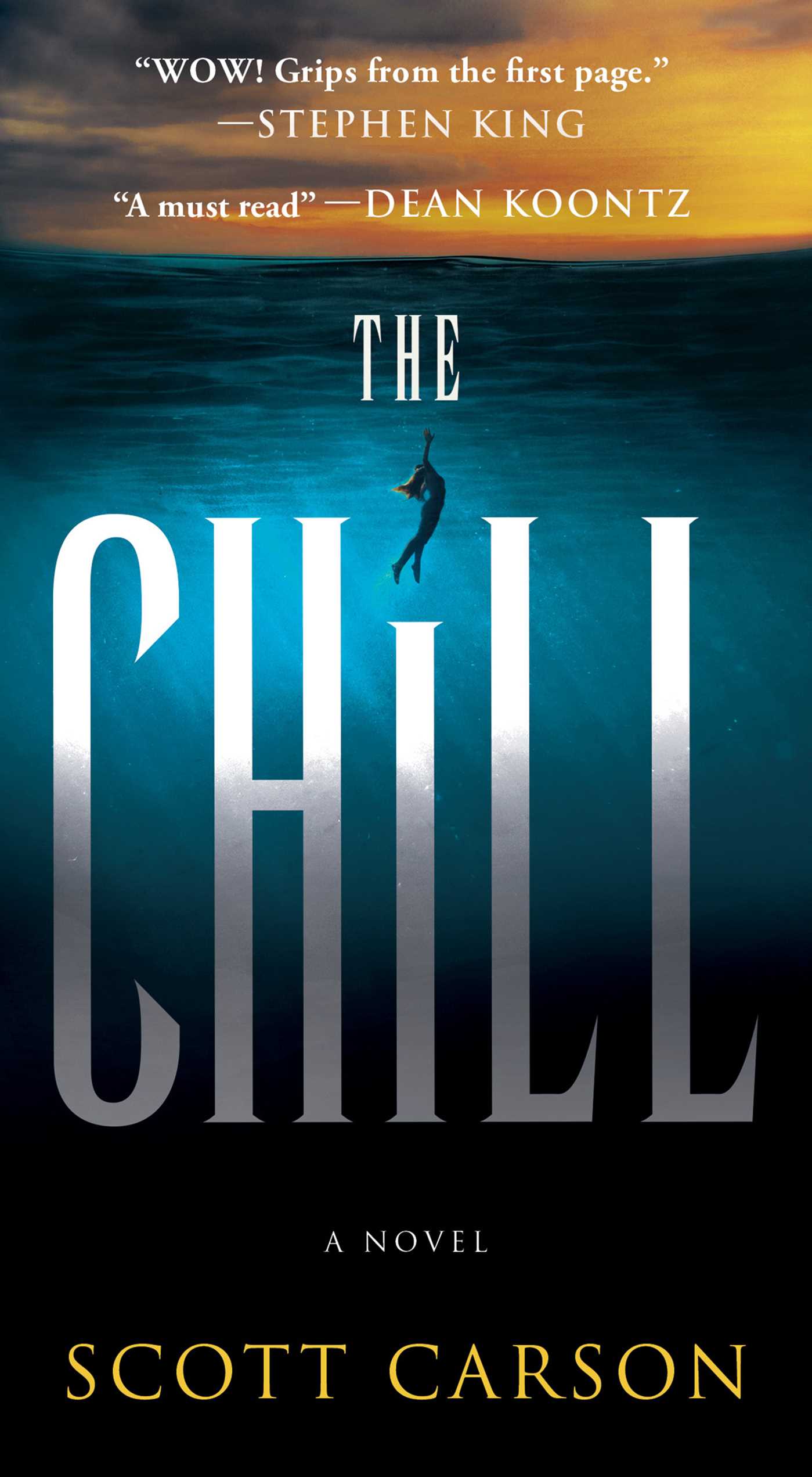Chill: A Novel