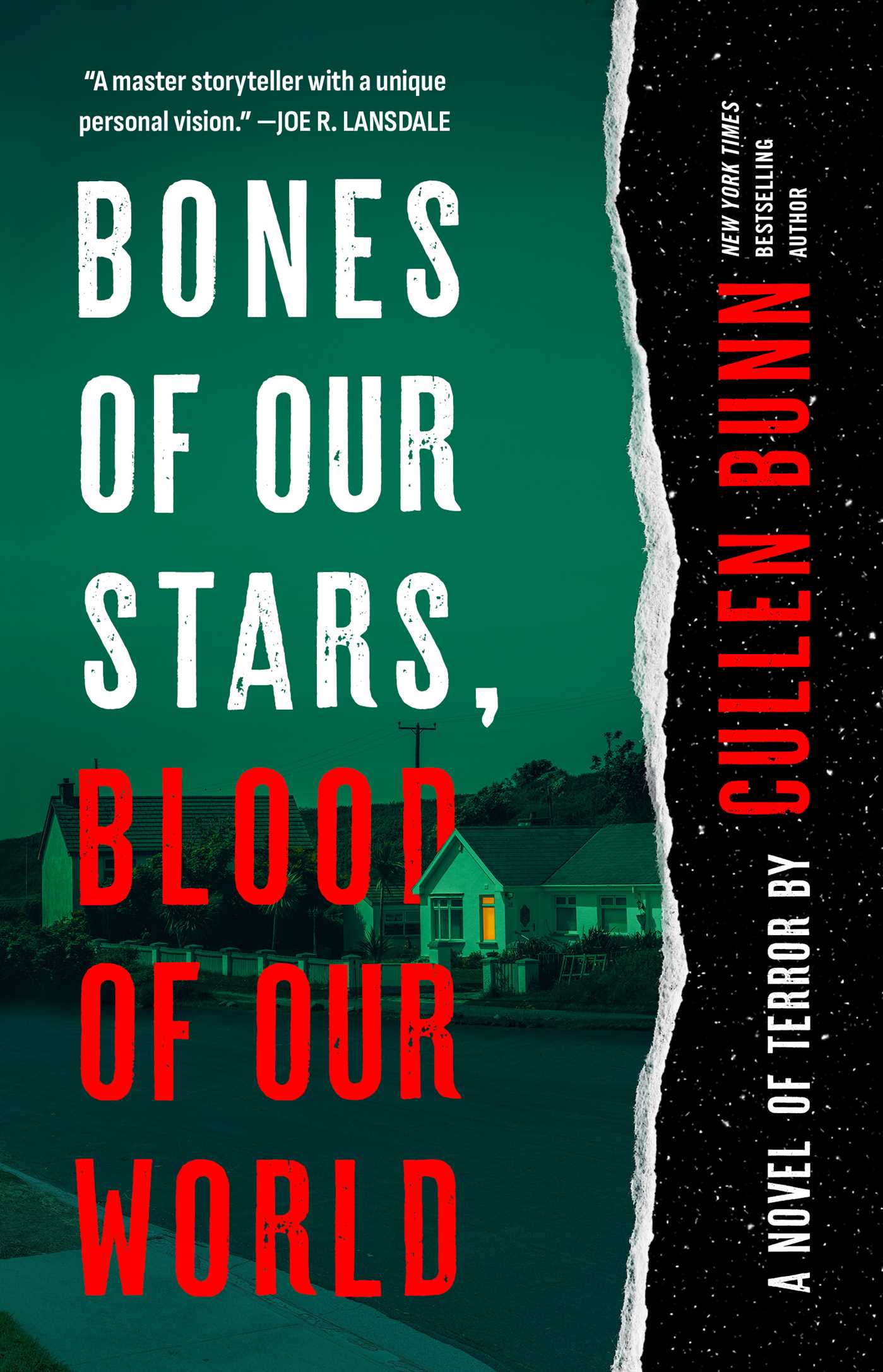 Bones of Our Stars, Blood of Our World