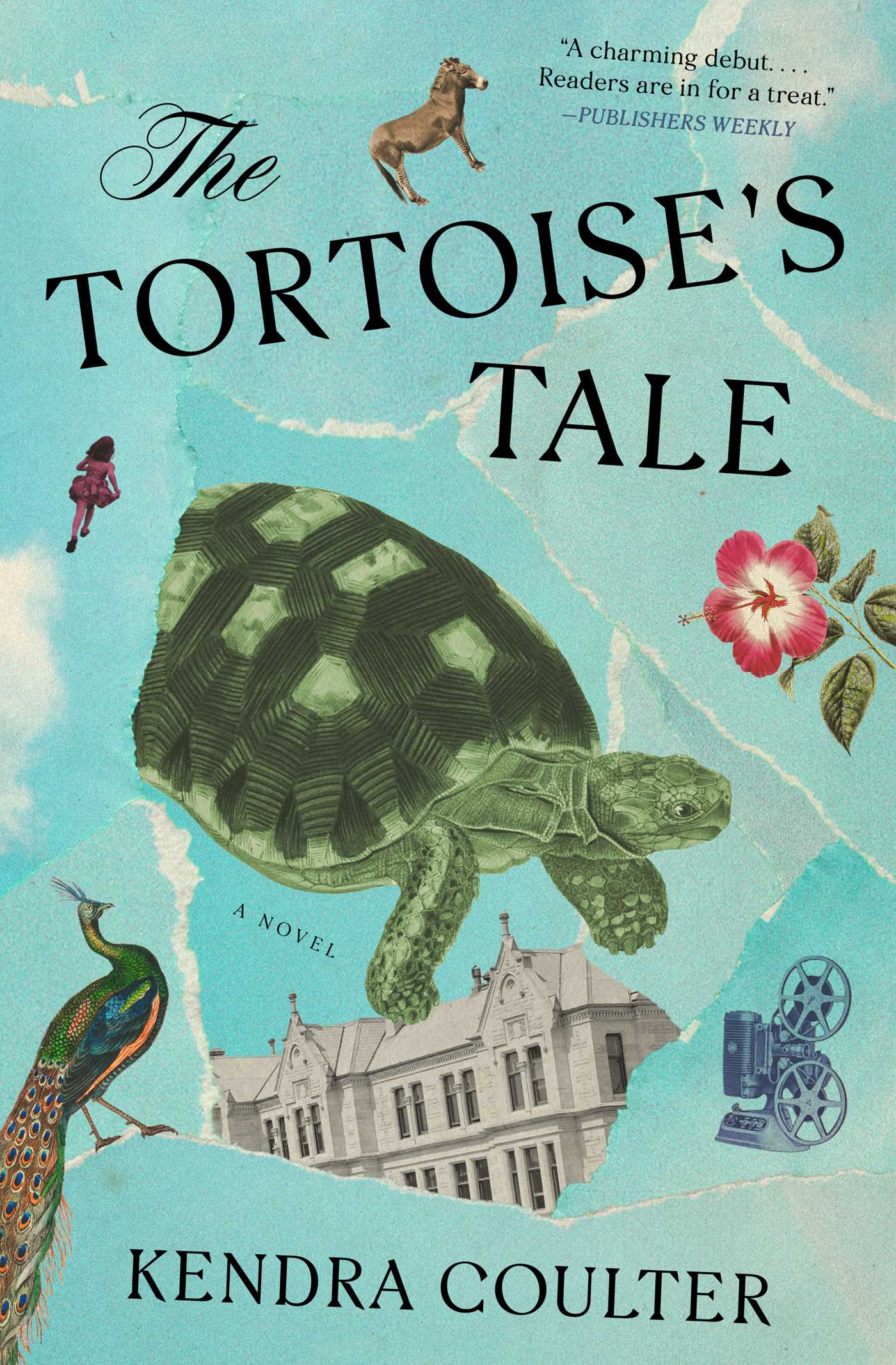 Tortoise's Tale: A Novel