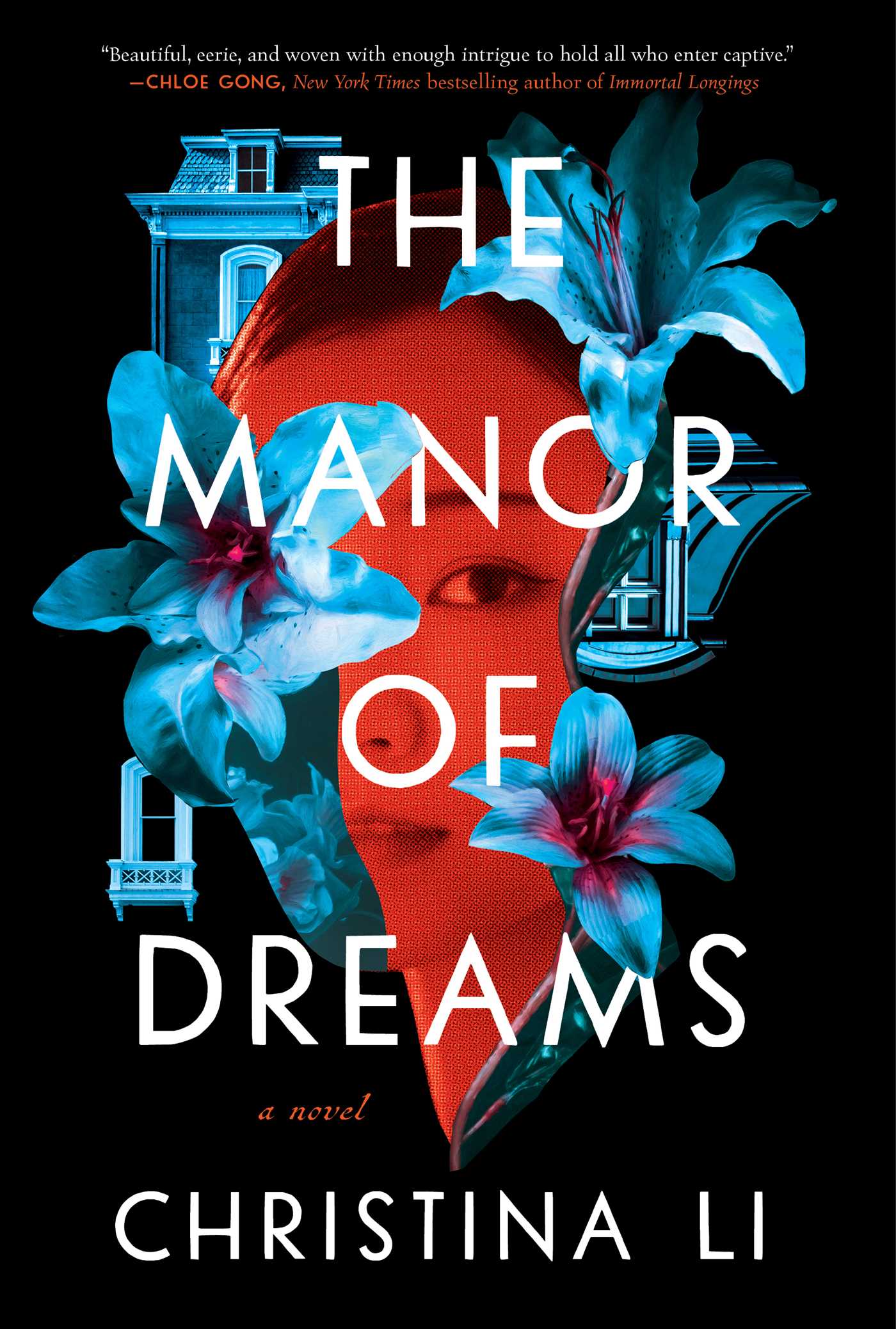 Manor of Dreams: A Novel