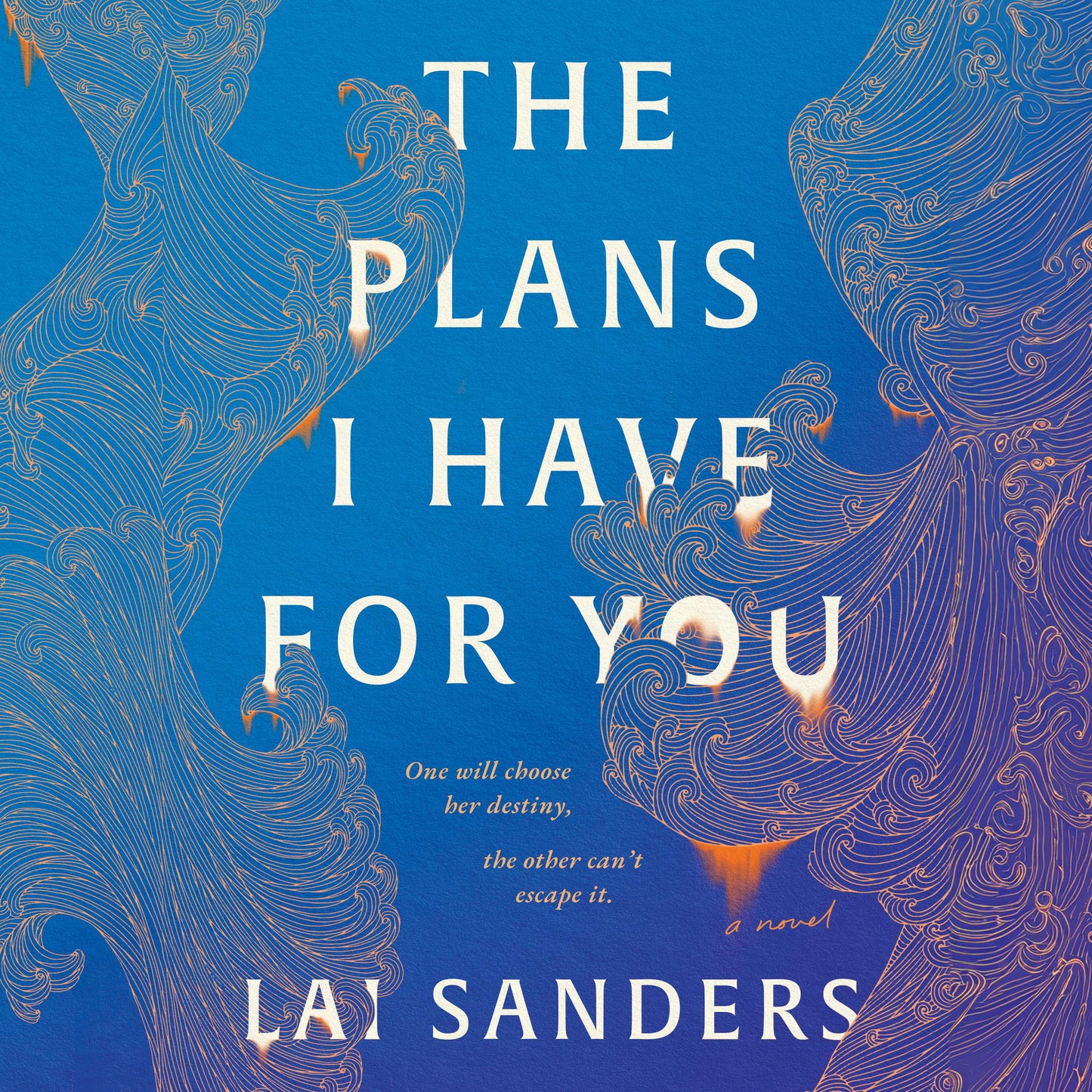 Plans I Have for You: A Novel