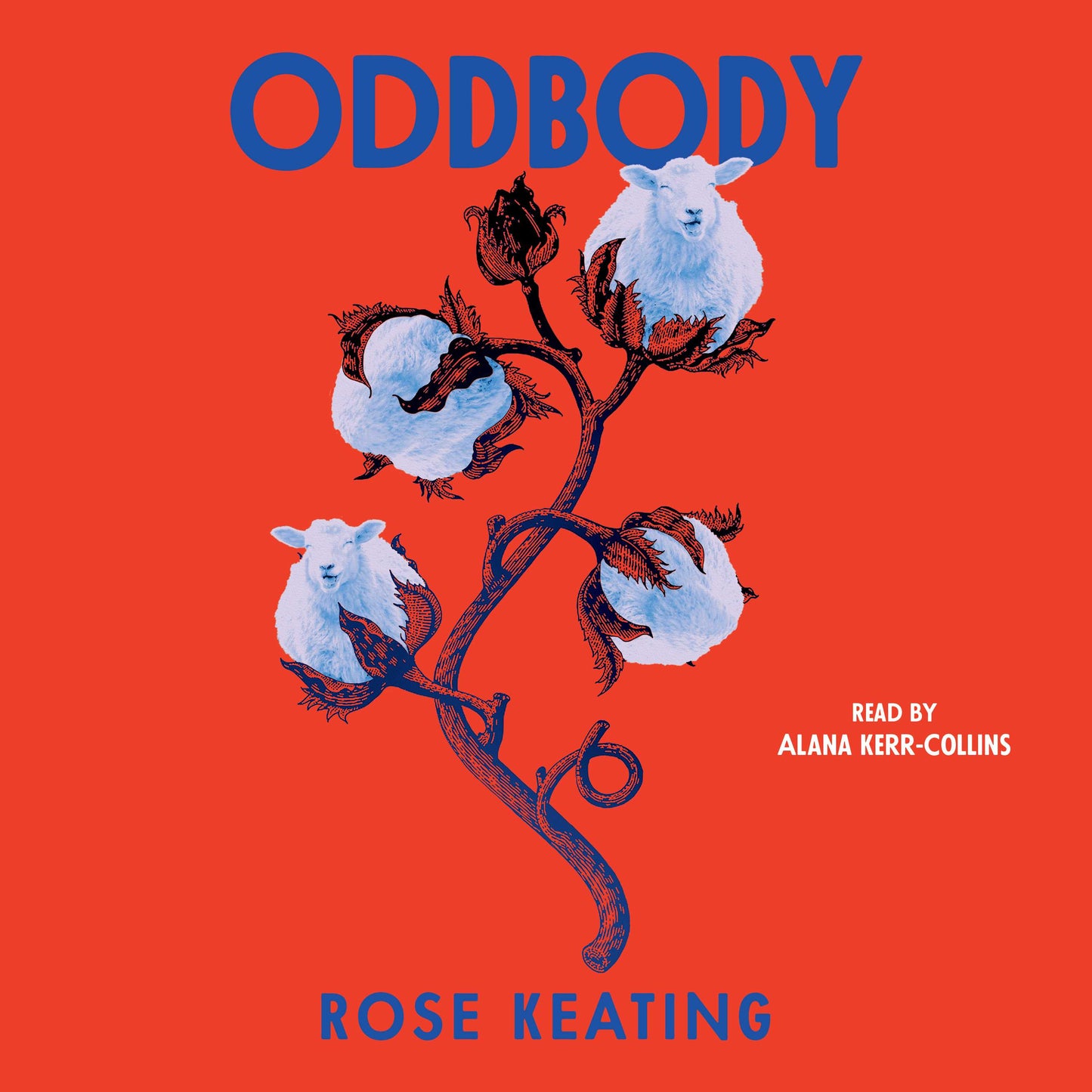 Oddbody