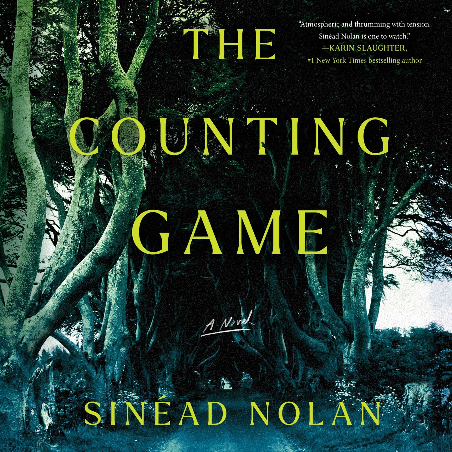 Counting Game: A Novel