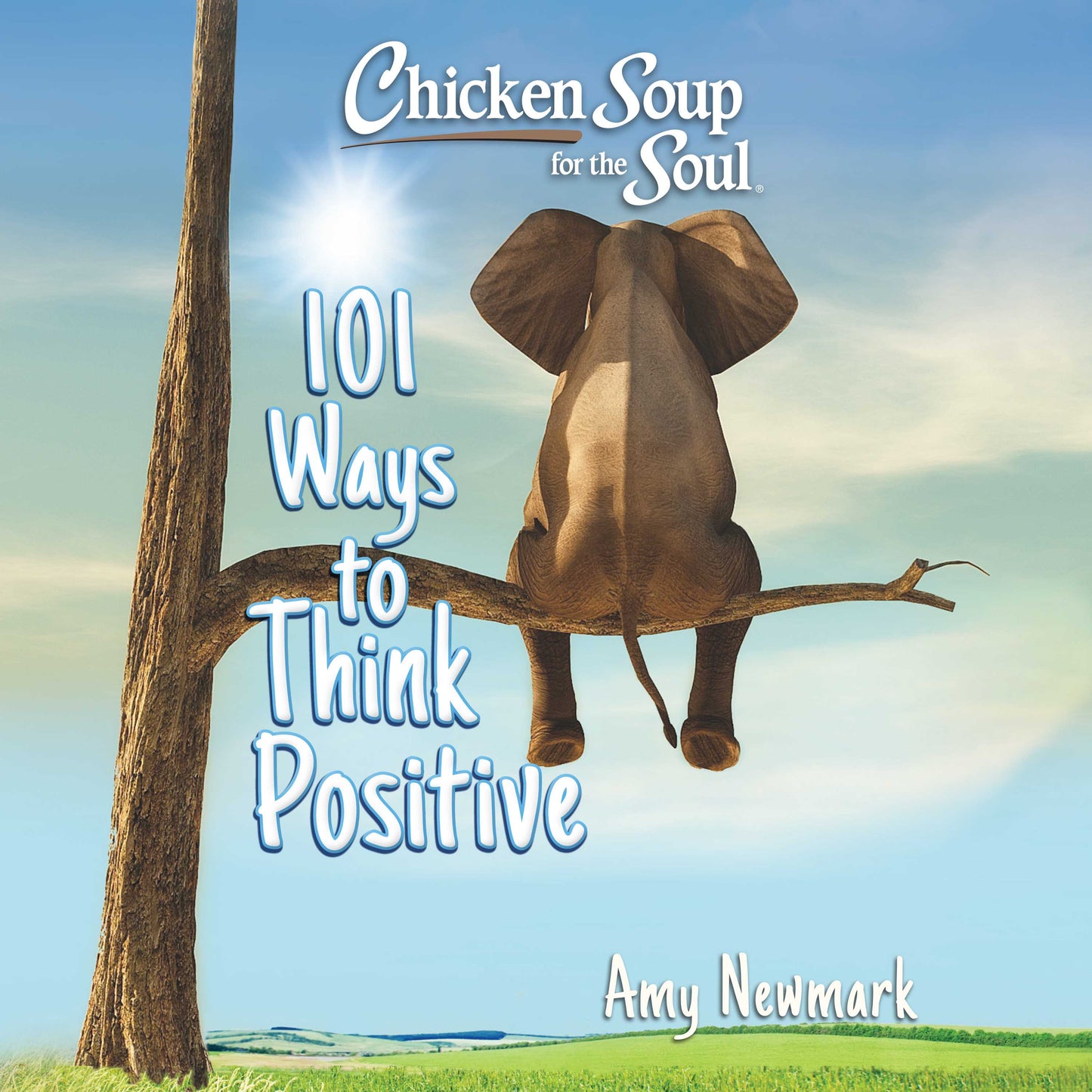 Chicken Soup for the Soul: 101 Ways to Think Positive