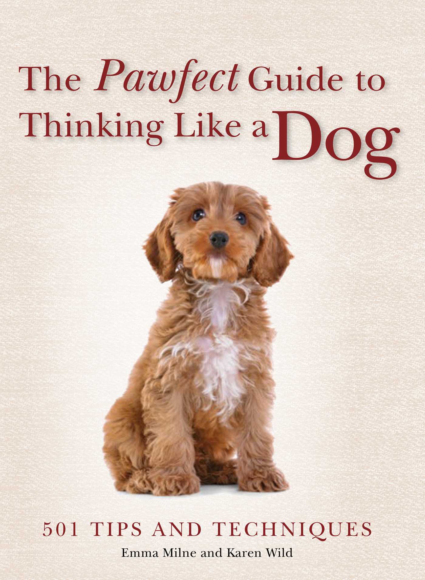 Pawfect Guide to Thinking Like a Dog: 501 Tips and Techniques