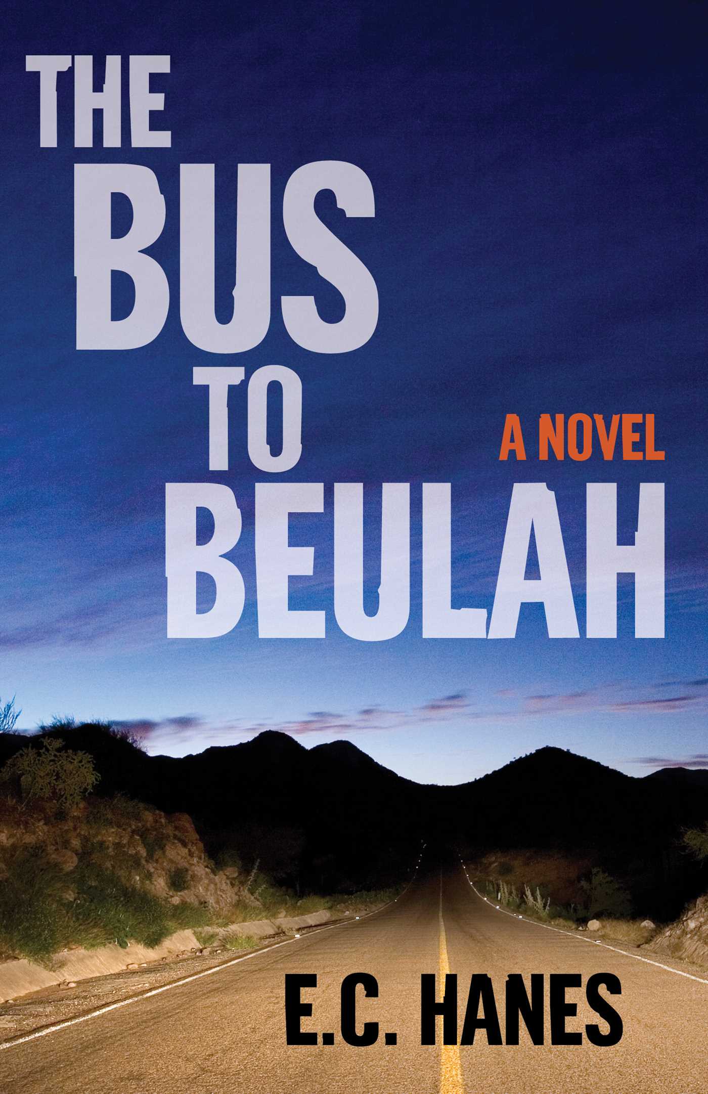 Bus to Beulah: A Novel