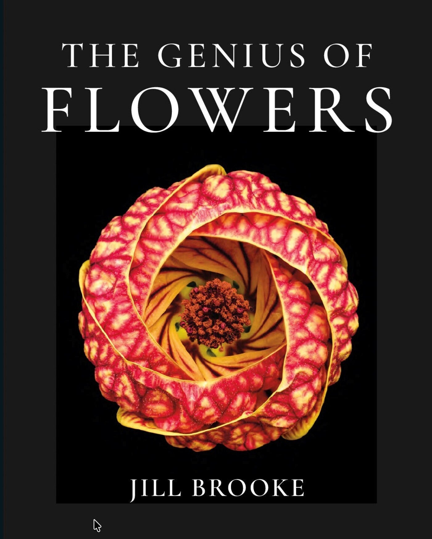Genius of Flowers: What Life's Most Beautiful Creations Can Teach Us