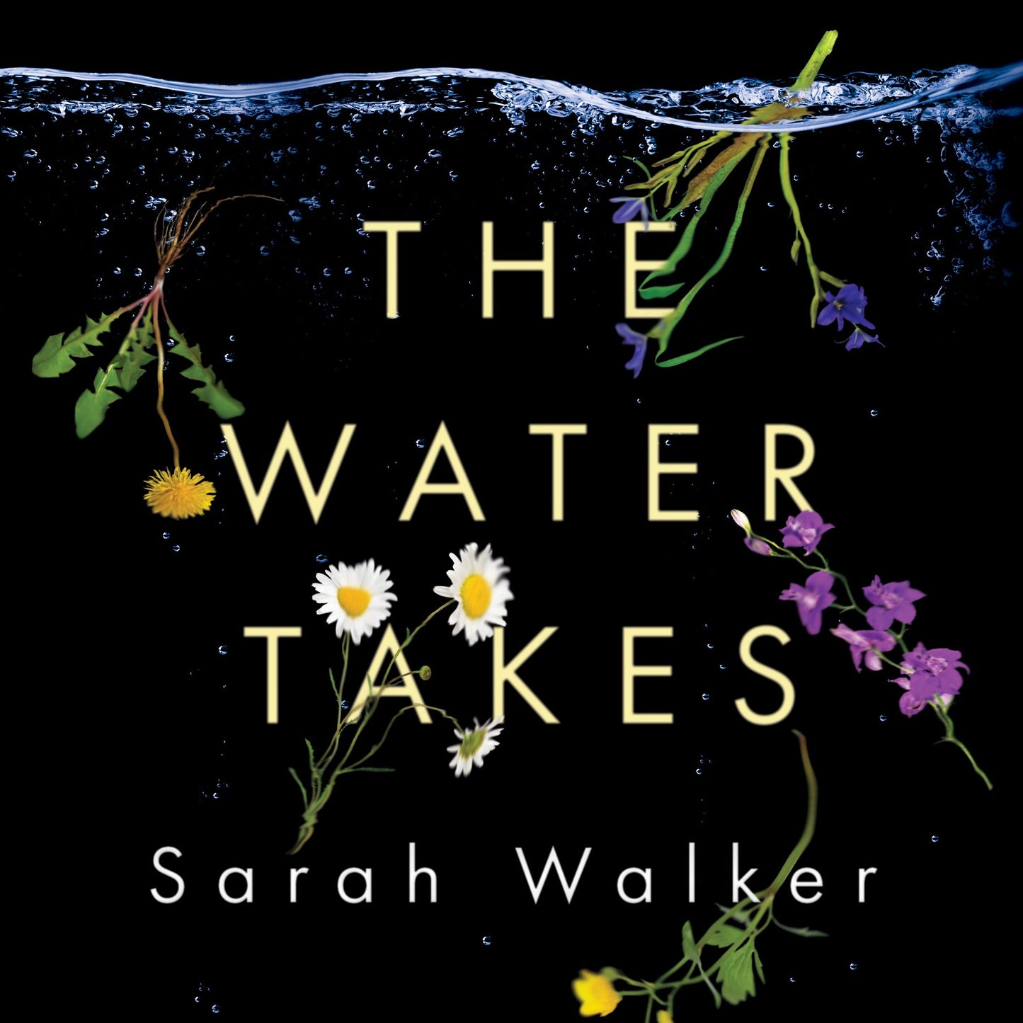 Water Takes