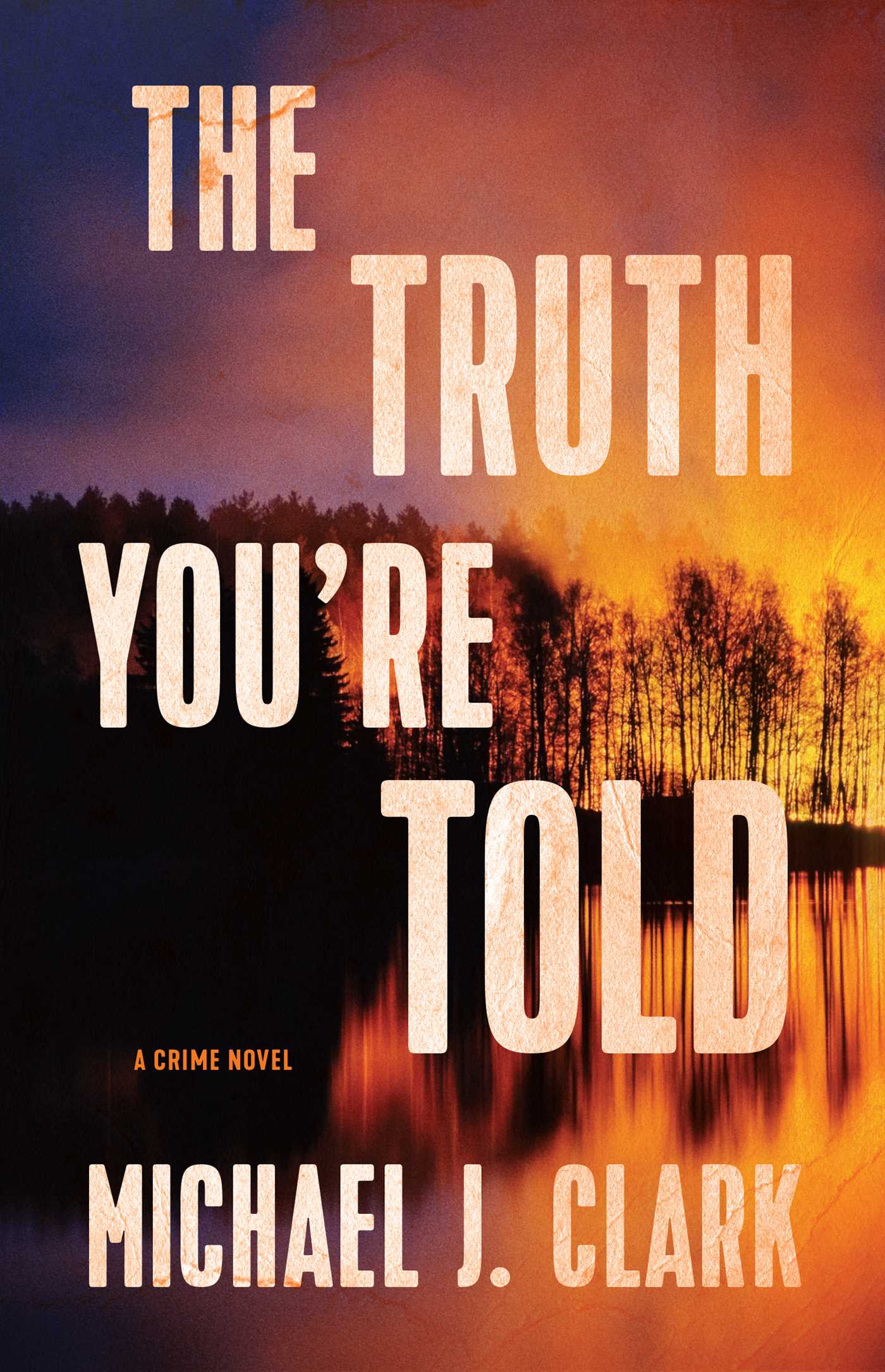 Truth You're Told: A Crime Novel