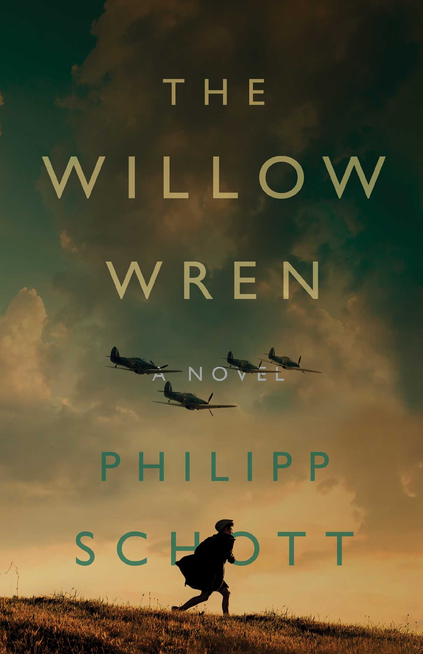 Willow Wren: A Novel