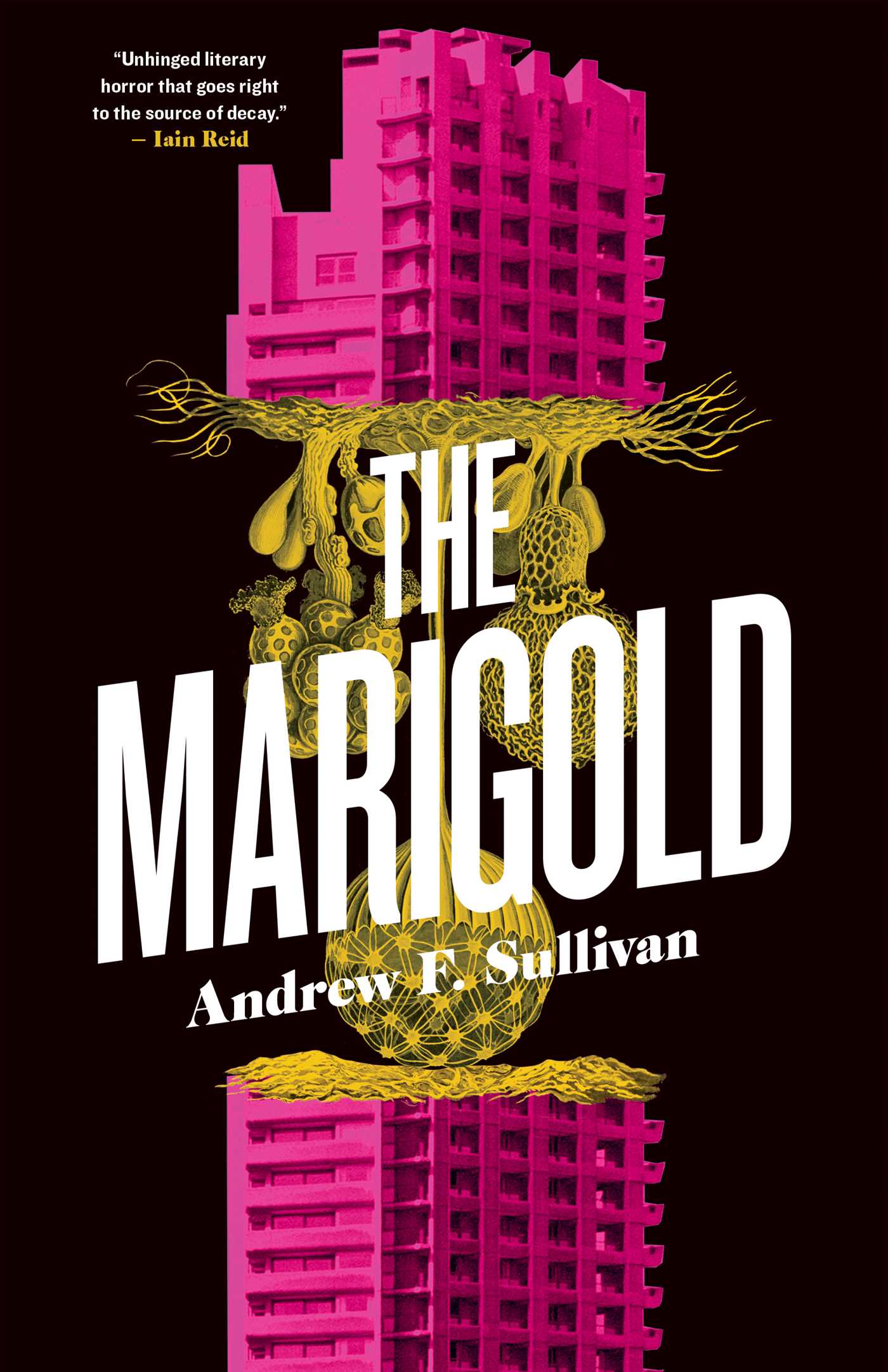 Marigold