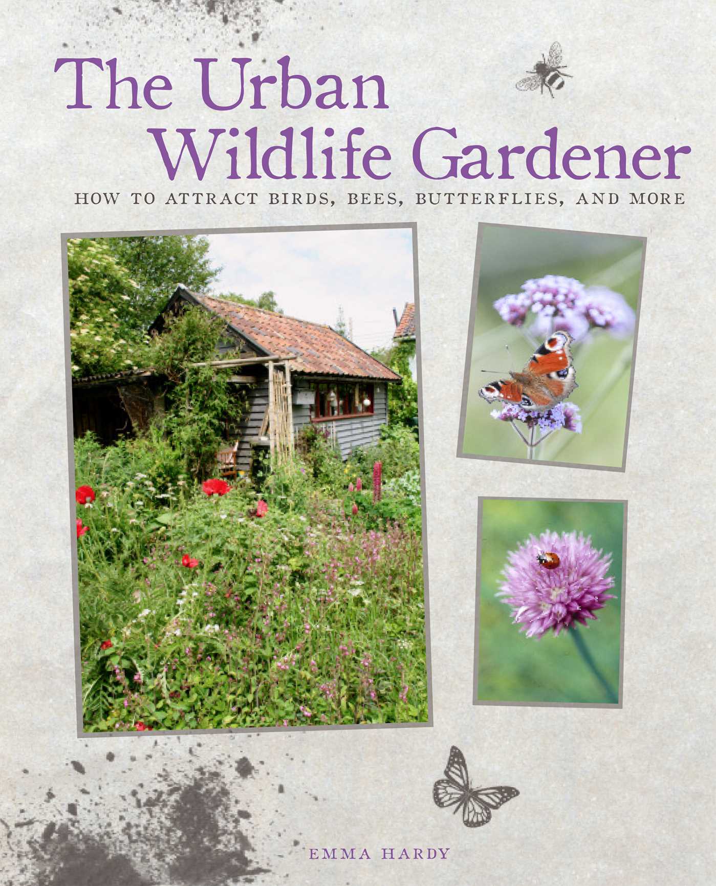Urban Wildlife Gardener: How to attract birds, bees, butterflies, and more