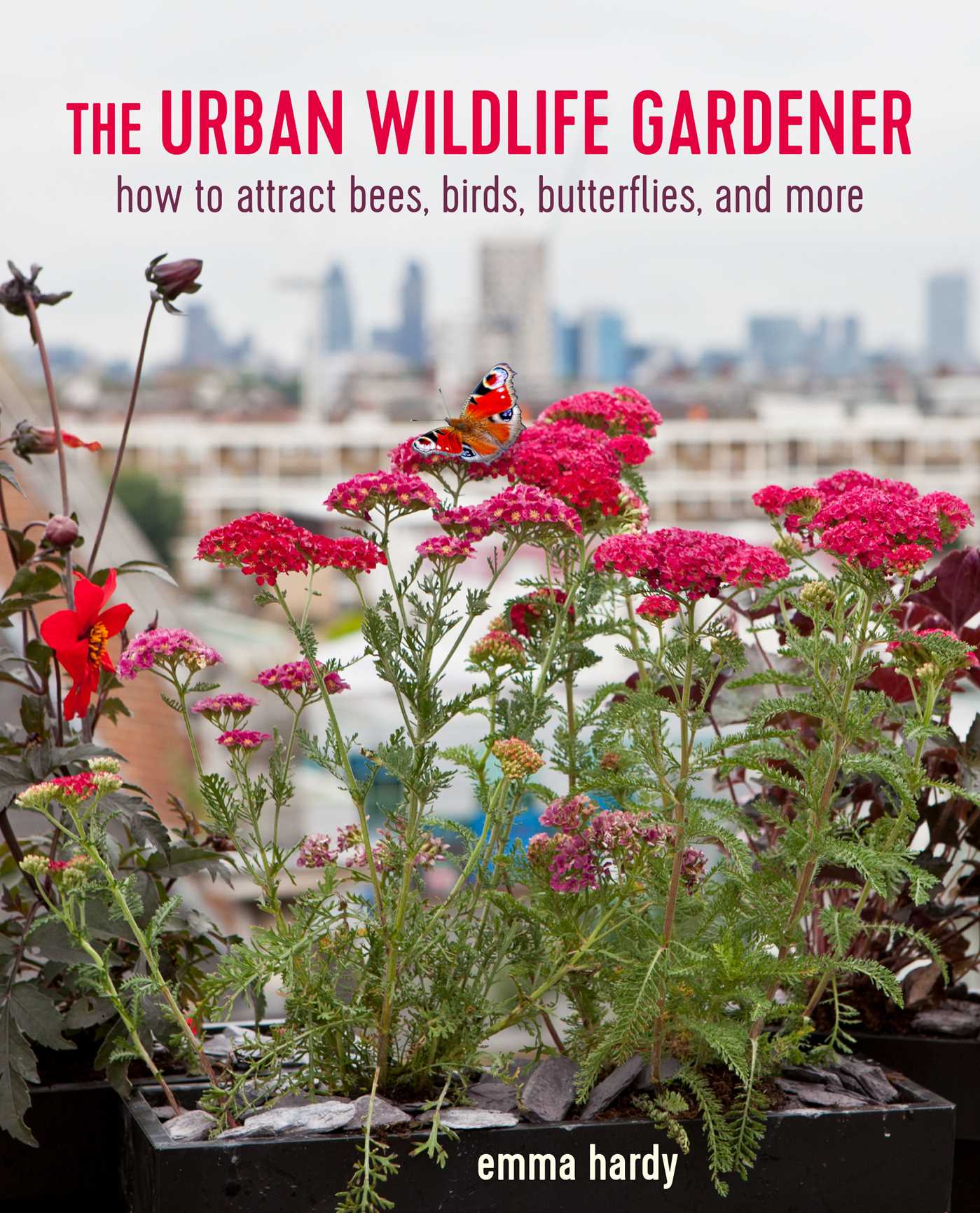 Urban Wildlife Gardener: How to attract bees, birds, butterflies, and more