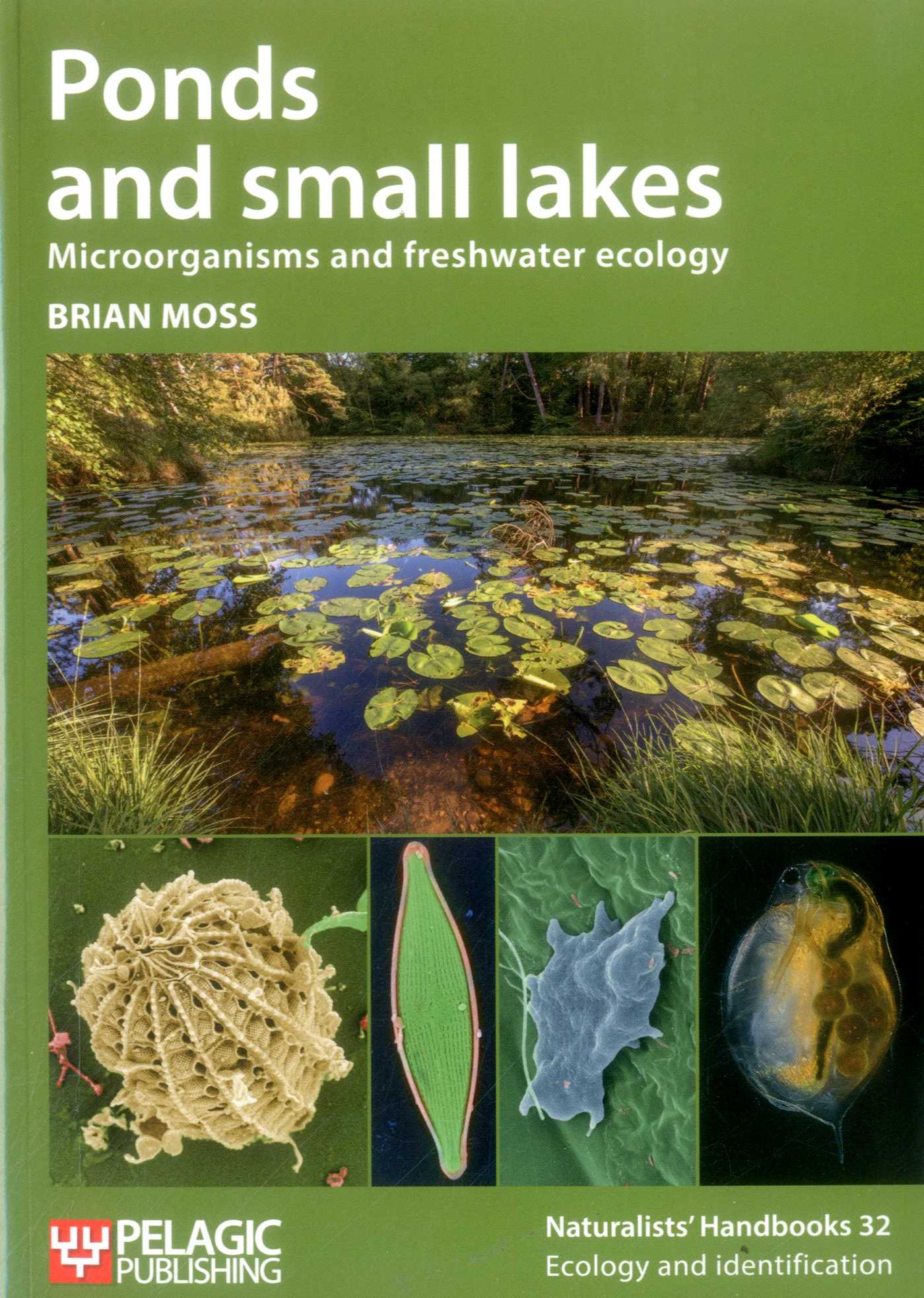 Ponds and Small Lakes