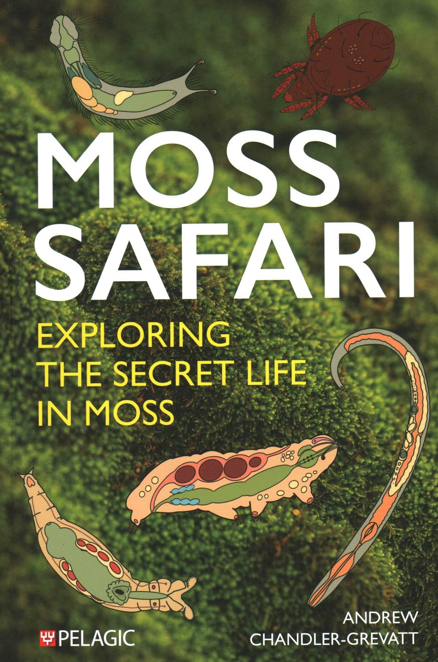 Moss Safari