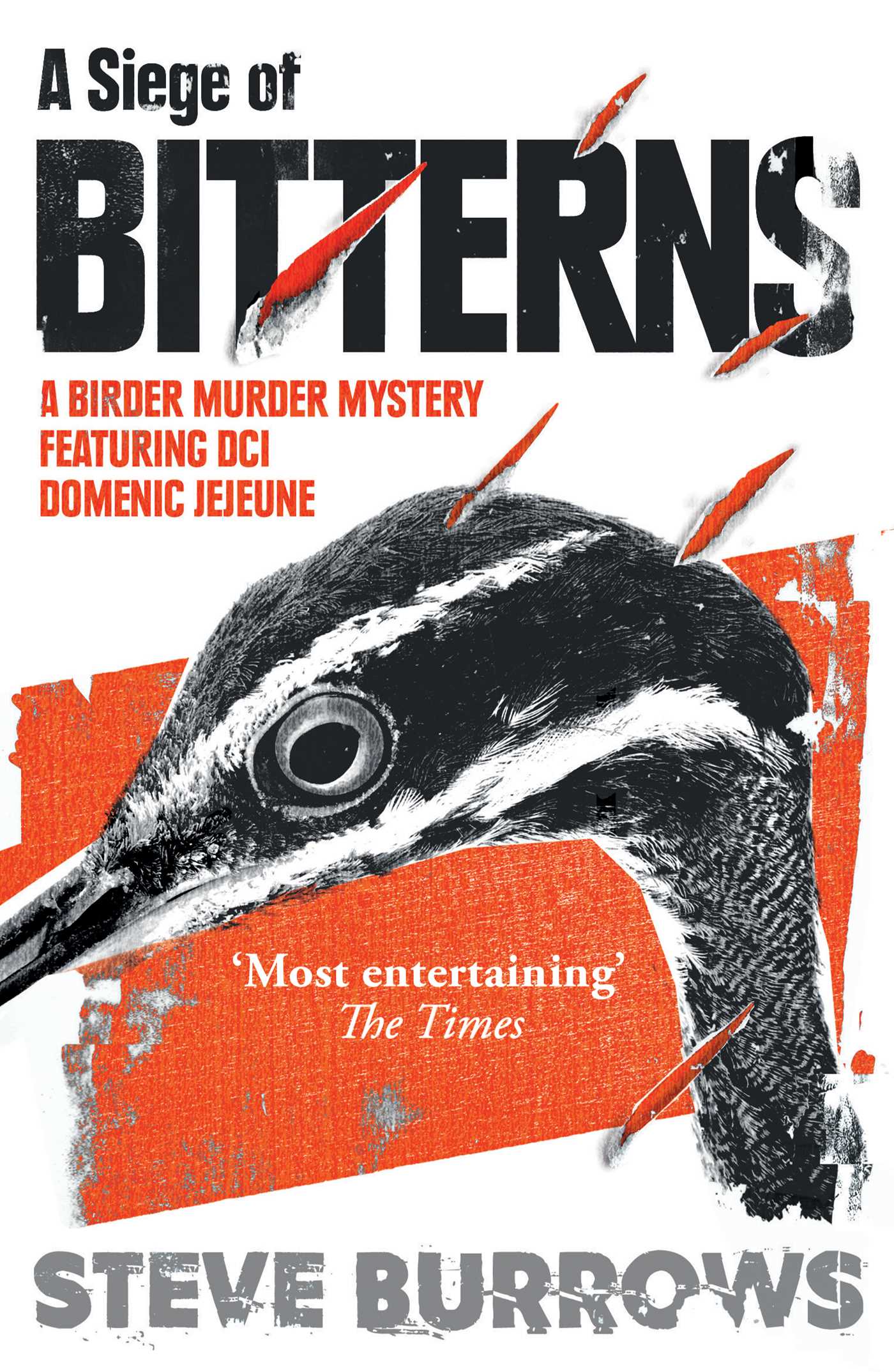 Siege of Bitterns: A Birder Murder Mystery: Winner of the Arthur Ellis Award 2015