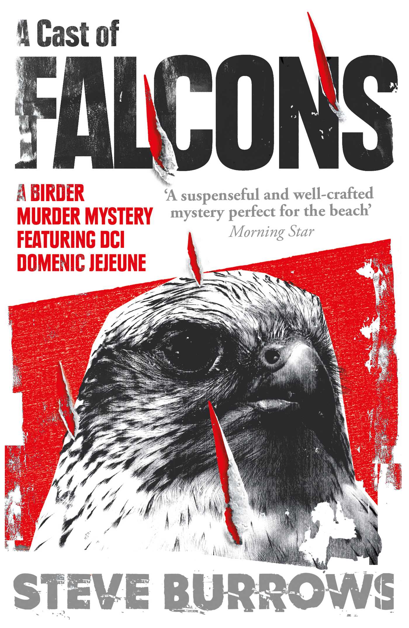 Cast of Falcons: A Birder Murder Mystery