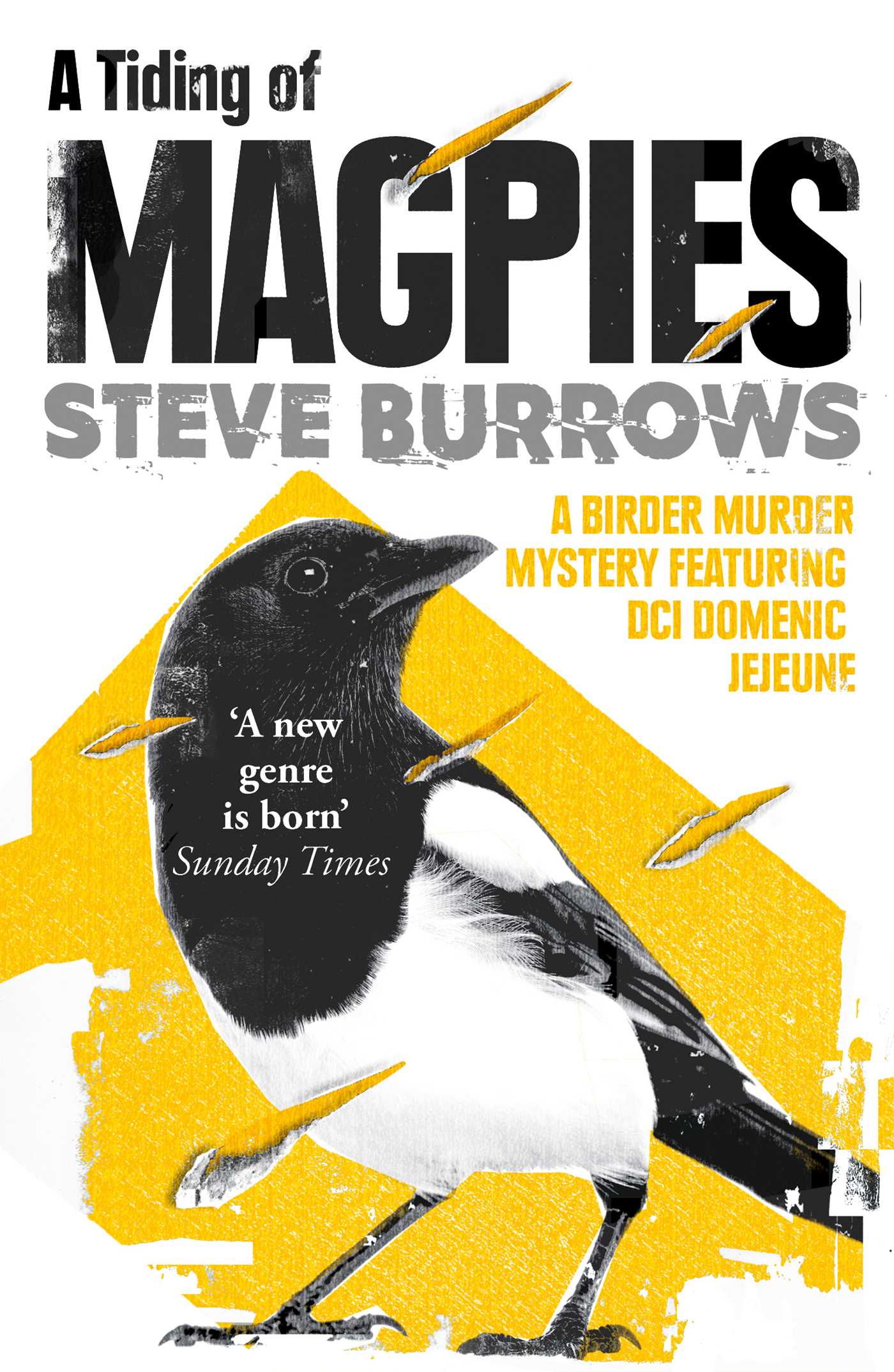 Tiding of Magpies: A Birder Murder Mystery