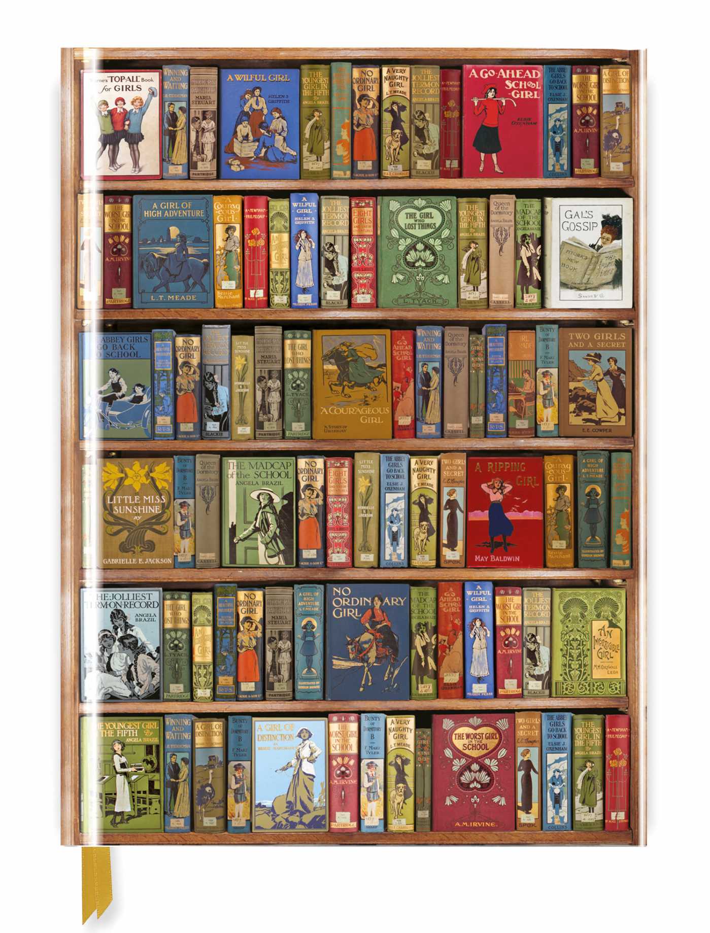 Bodleian Libraries: High Jinks Bookshelves (Blank Sketch Book)