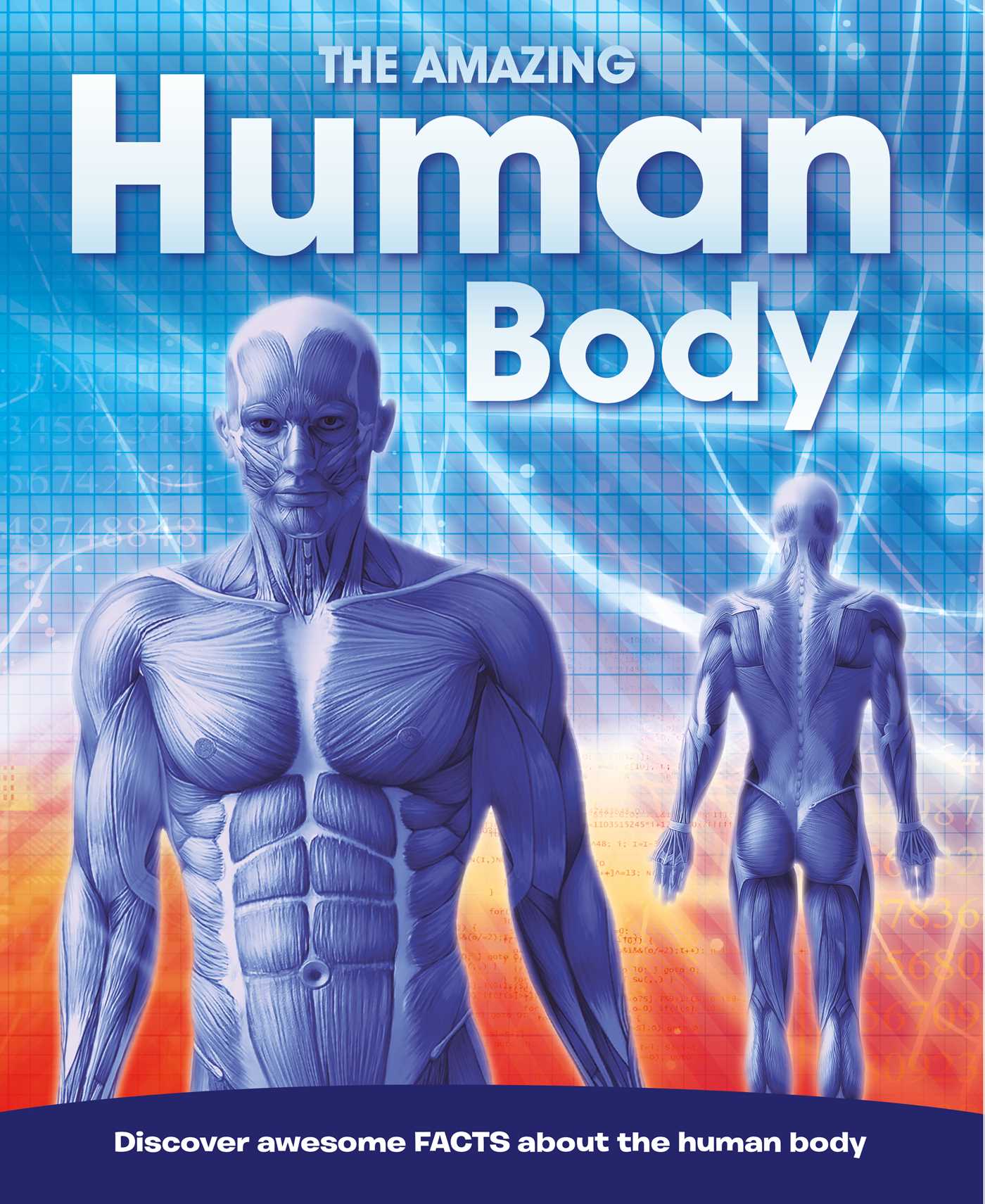Amazing Human Body: Discovery awesome FACTS