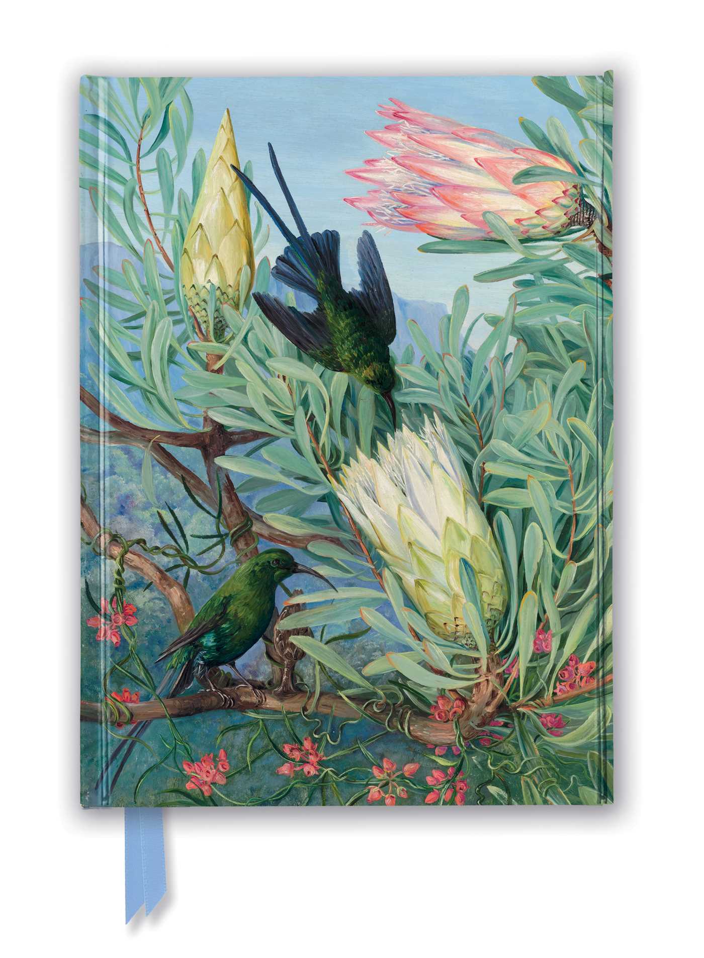 Kew Gardens: Marianne North: Honeyflowers and Honeysuckers (Foiled Journal)