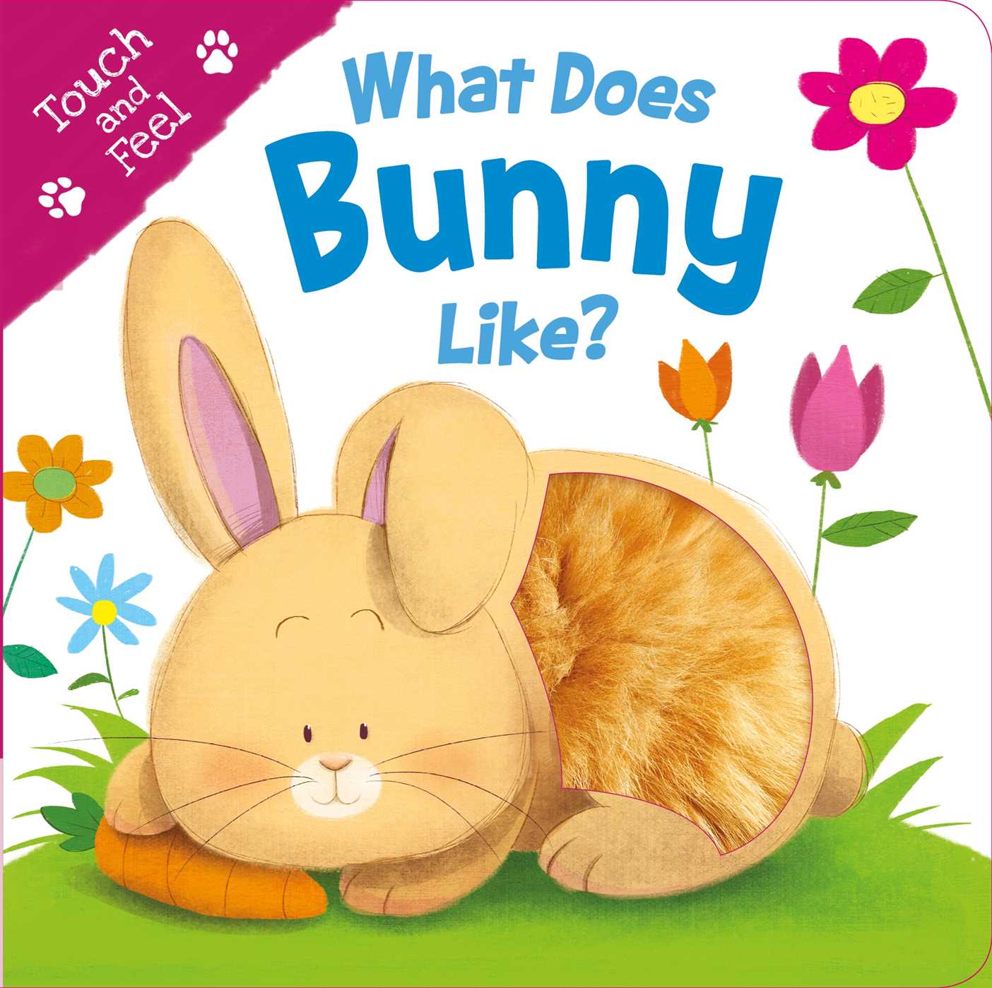 What Does Bunny Like? (Touch & Feel)