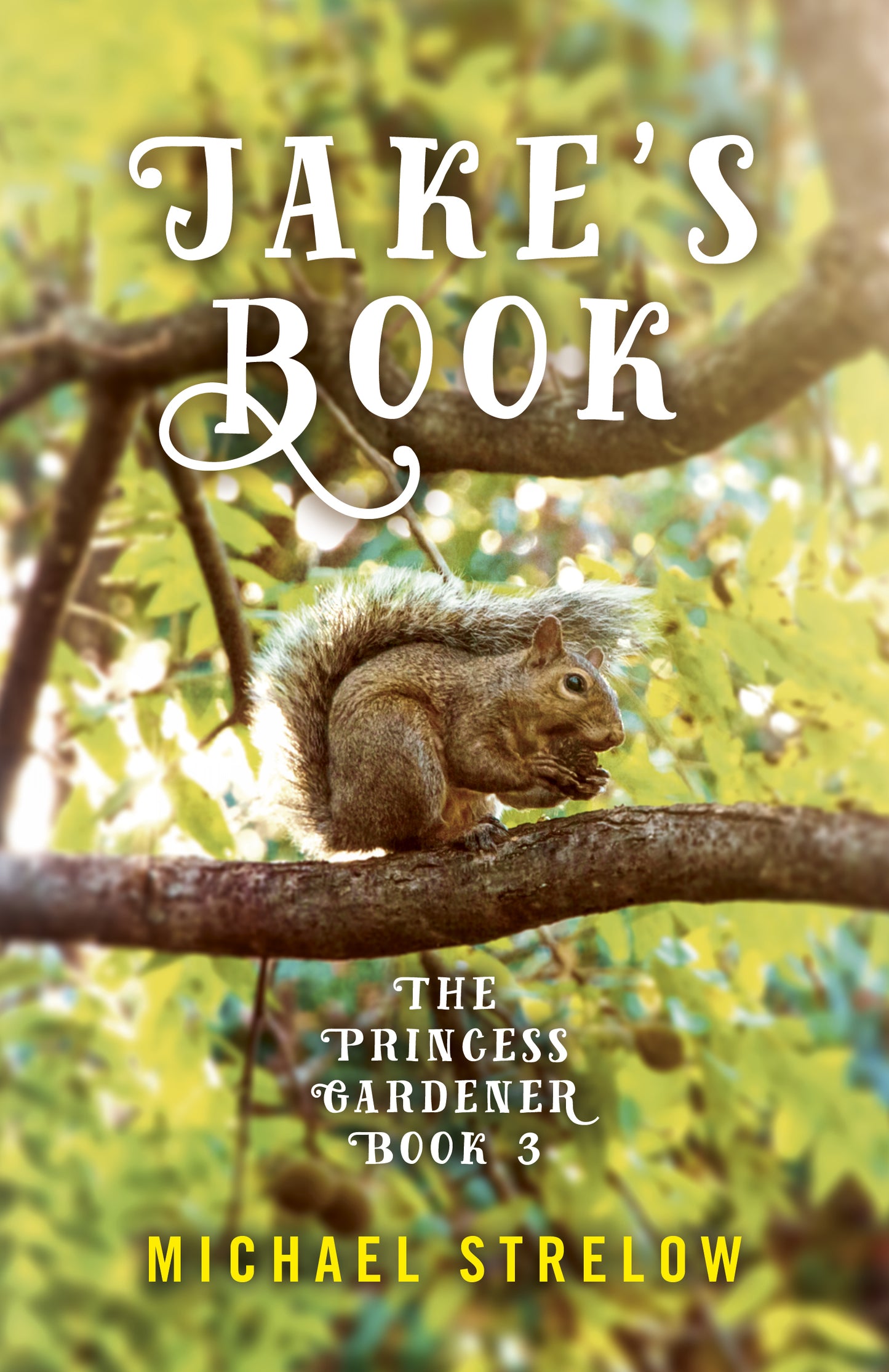 Jake's Book