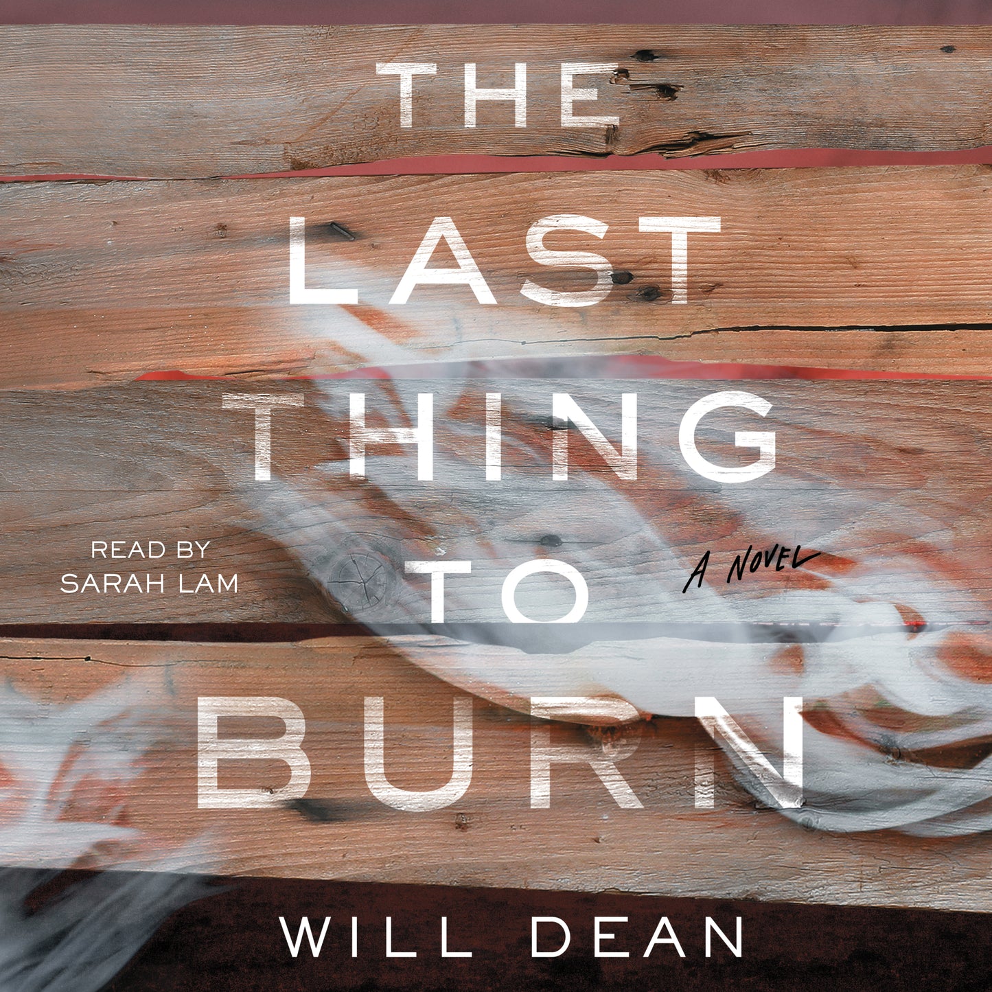 Last Thing to Burn: A Novel