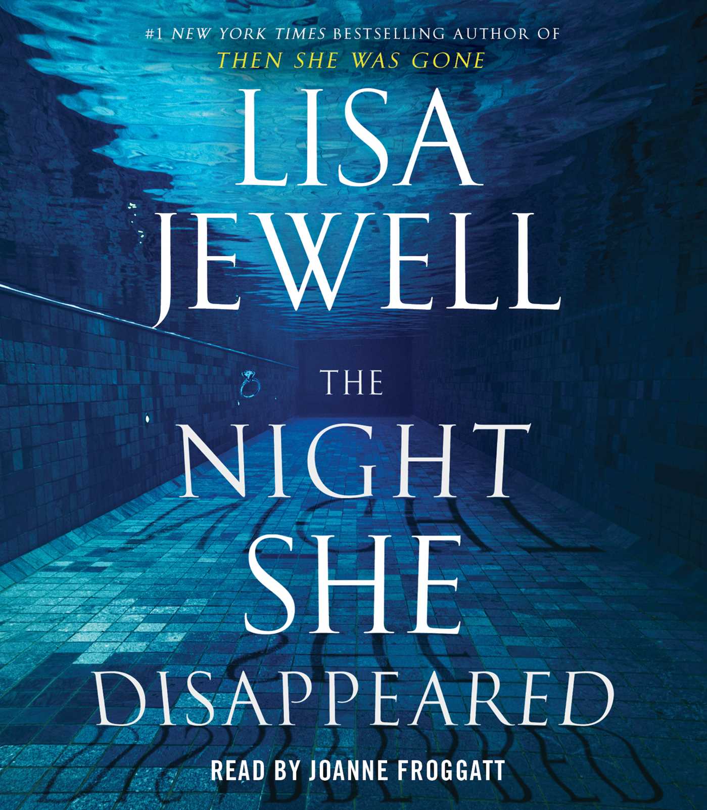 Night She Disappeared: A Novel
