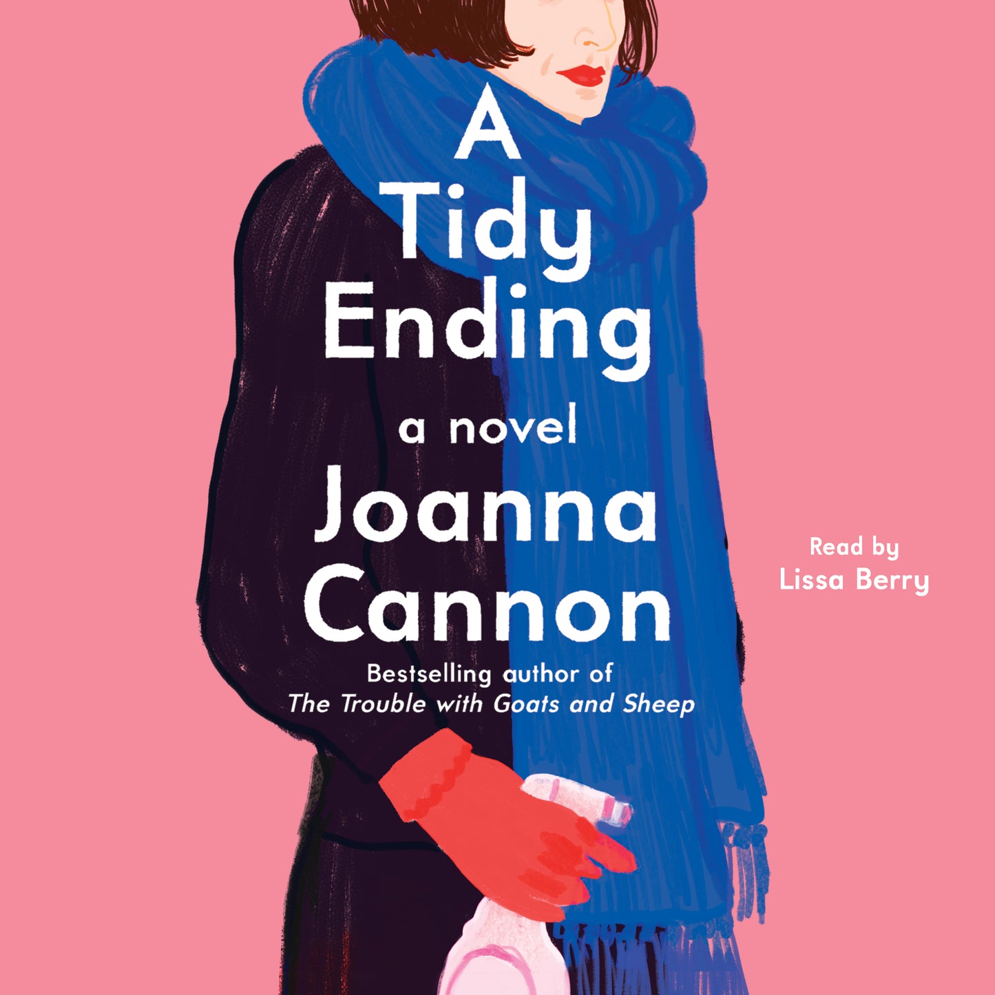 Tidy Ending: A Novel