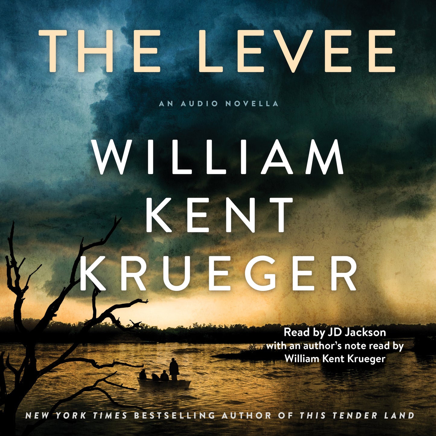 Levee