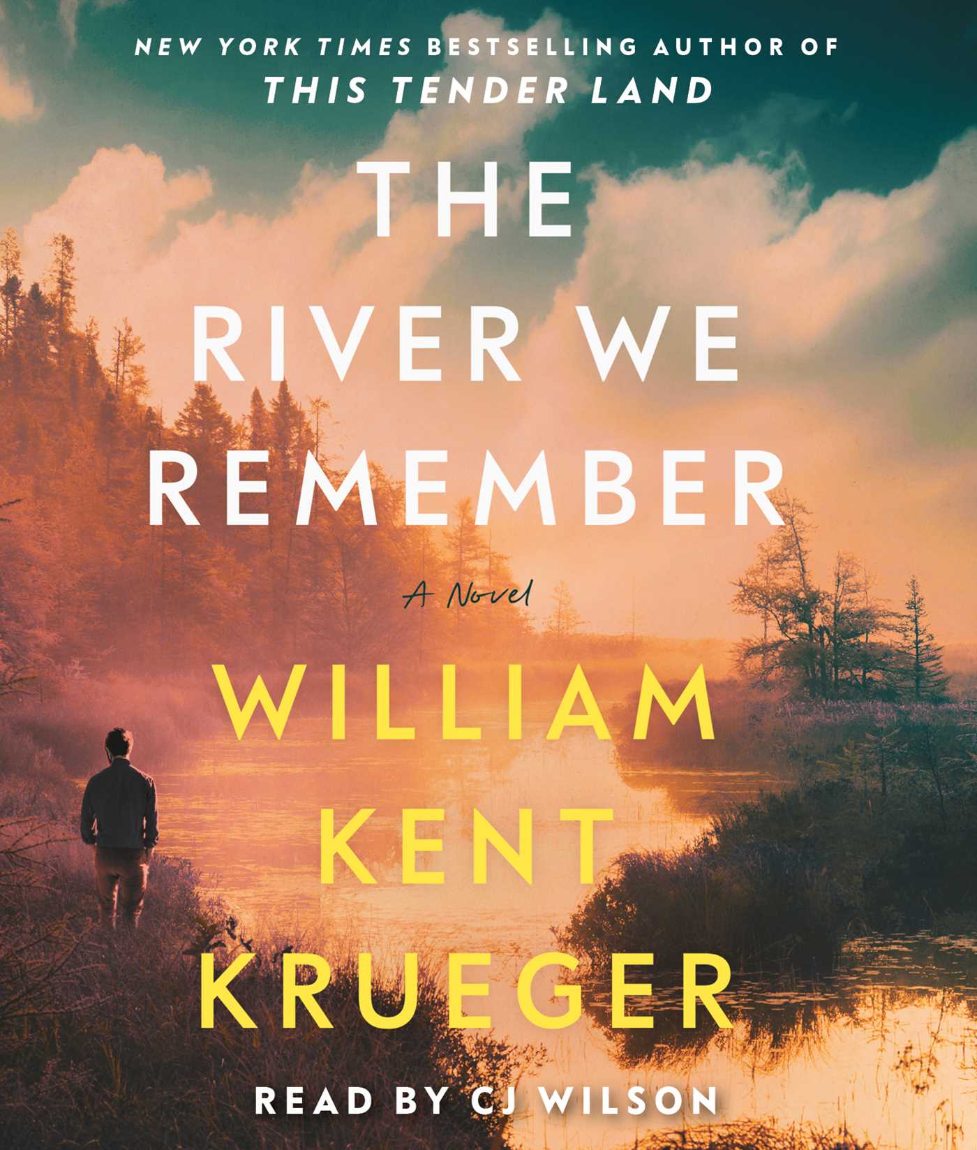 River We Remember: A Novel