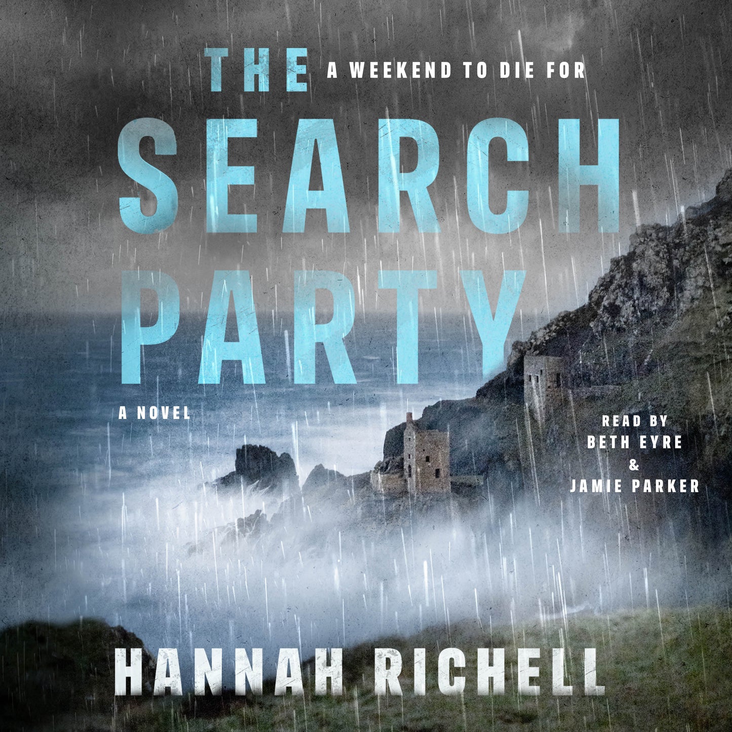 Search Party: A Novel
